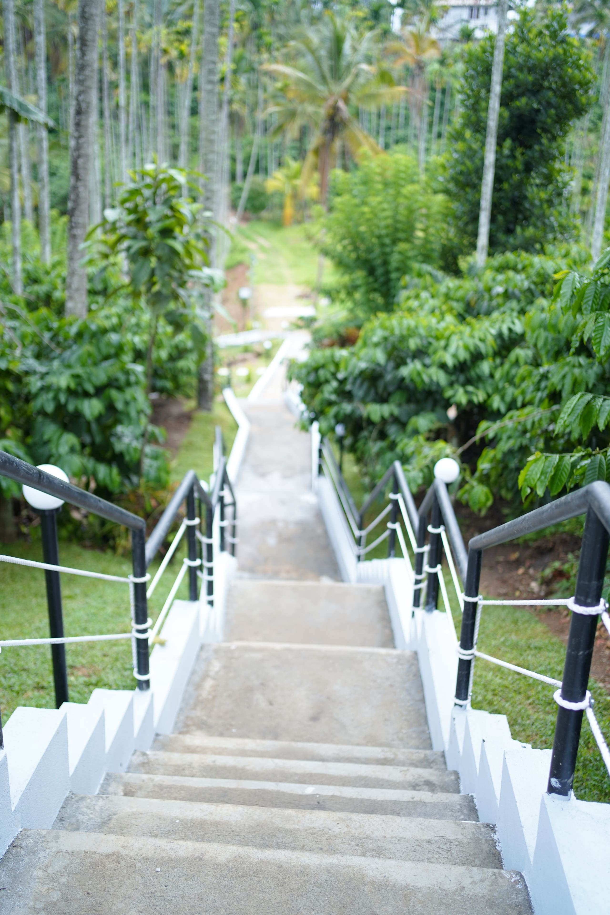 Orchid Villa by Palmgrove Retreat Properties 27