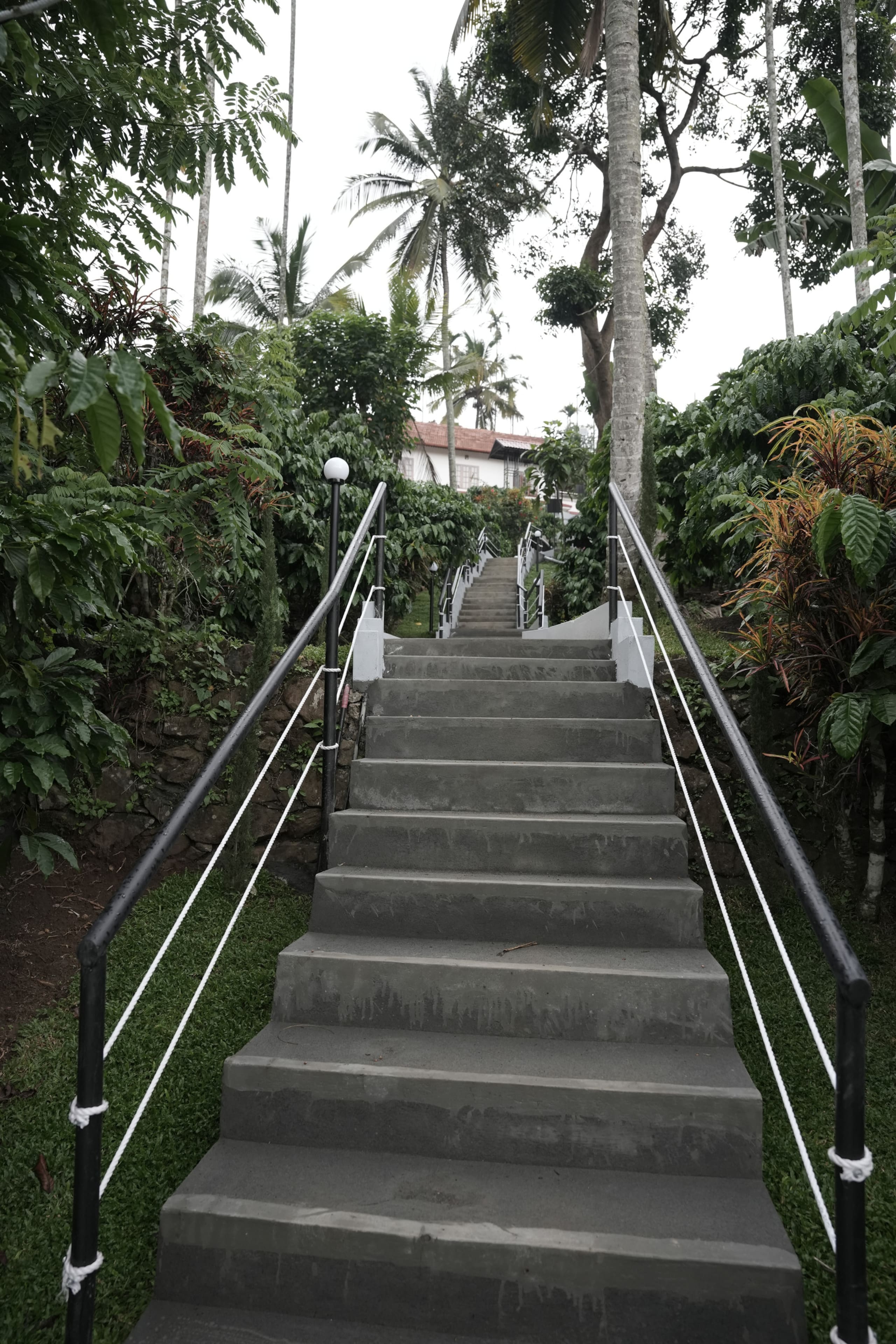 Orchid Villa by Palmgrove Retreat Properties 18