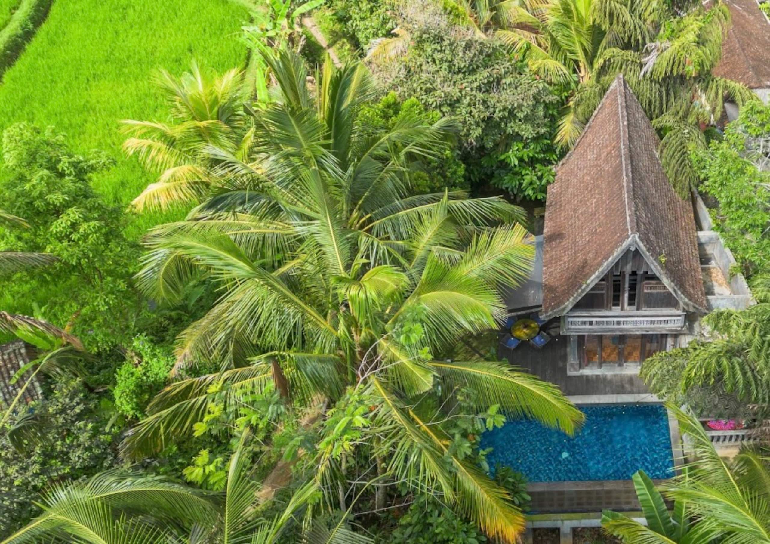 Hidden Gem near Ubud • Private Pool & Nature