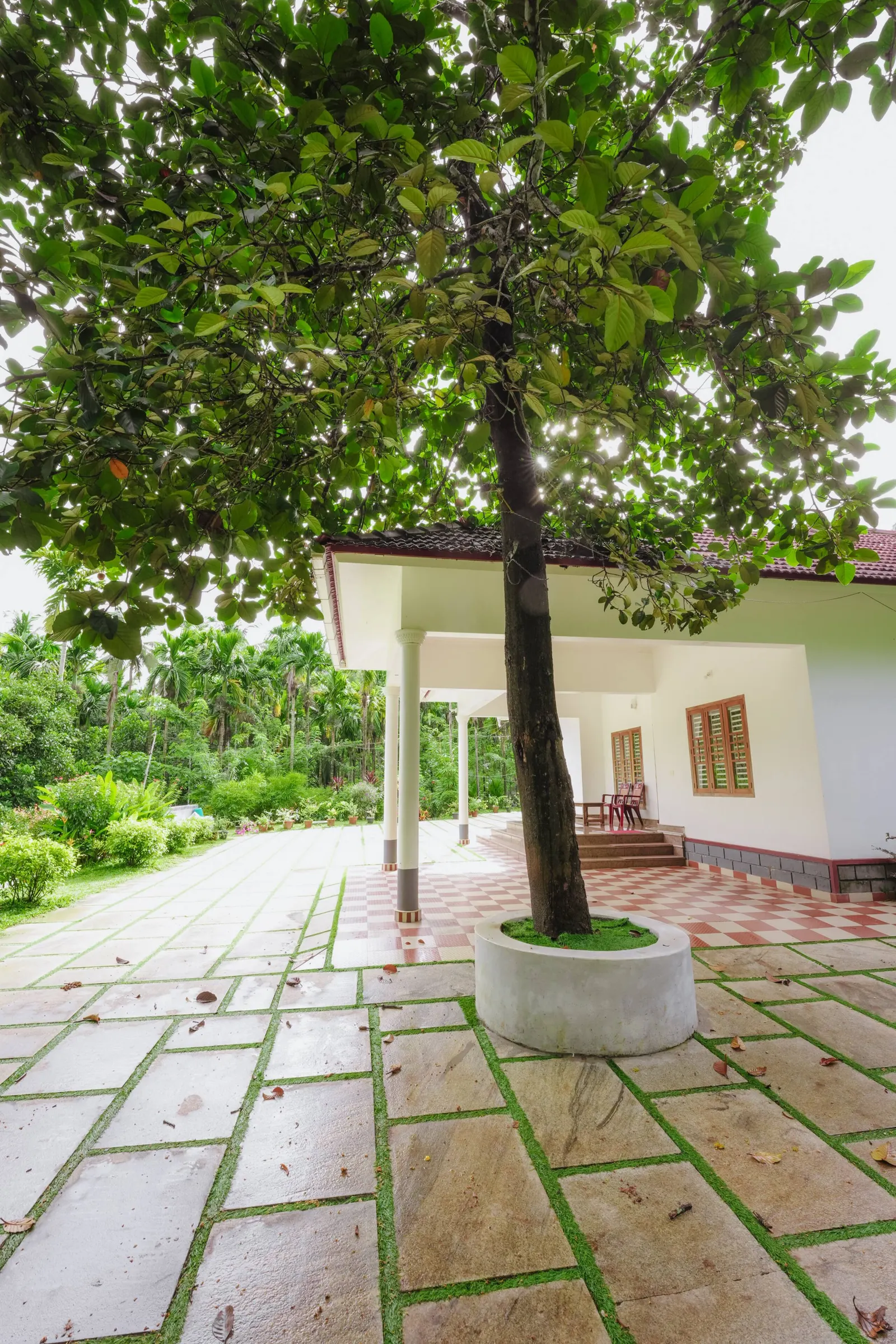 The Palavayal Farm Villa 40