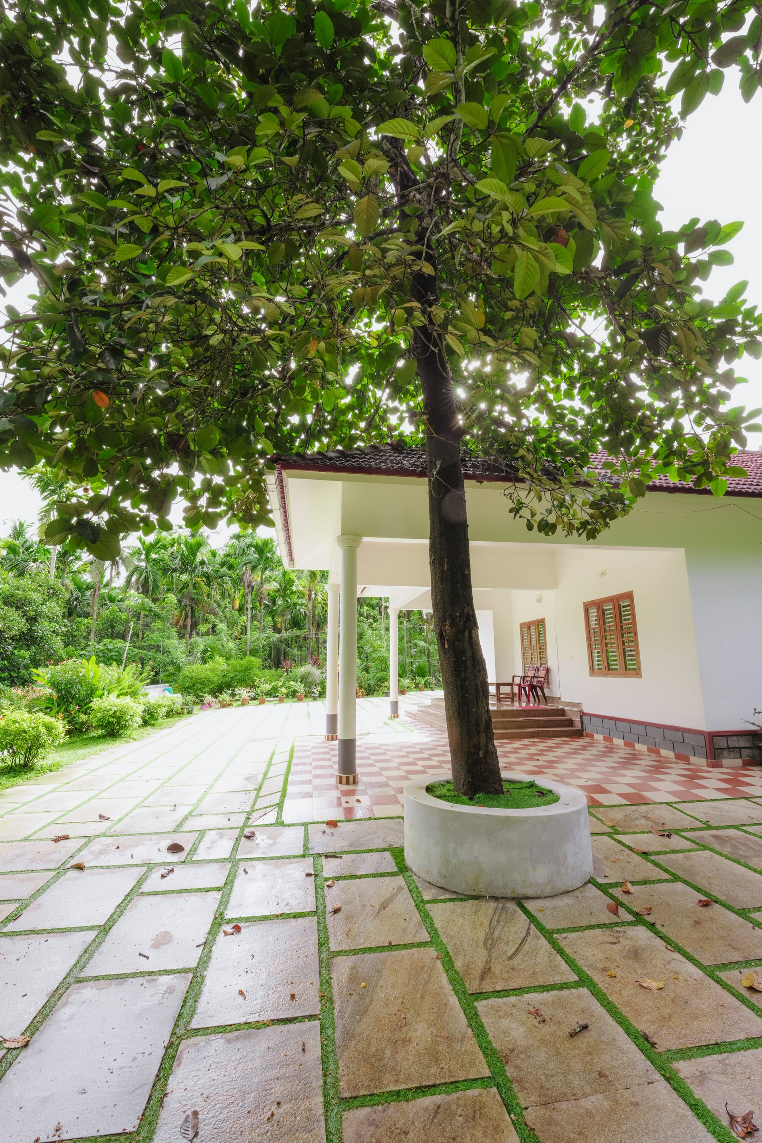 The Palavayal Farm Villa 40