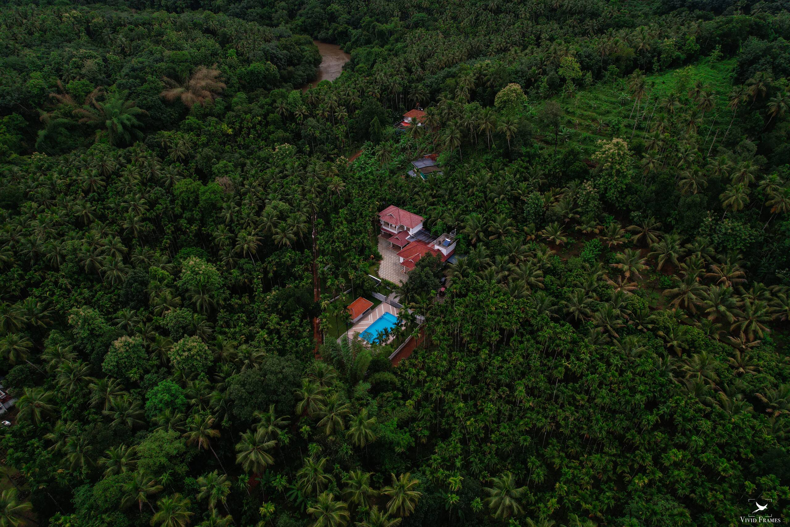 The Palavayal Farm Villa 5