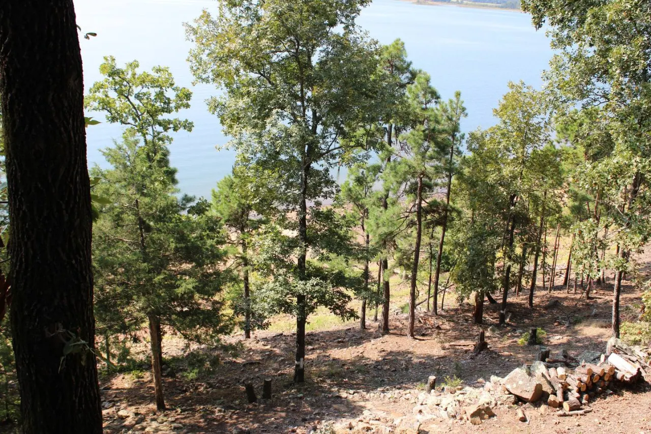 Lake Life Dreams — photo 3