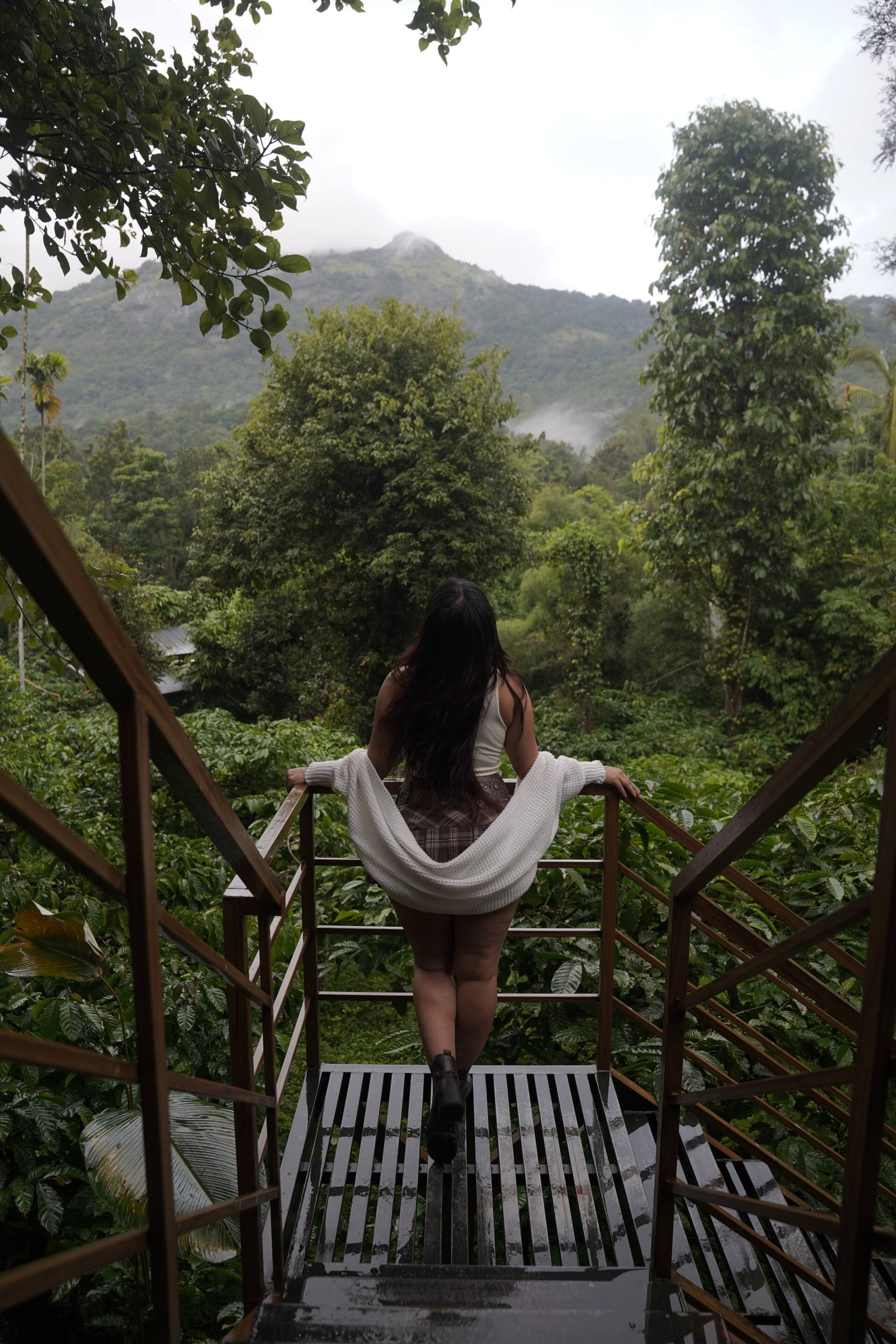 Mountain View Cottage in Coffee Estate, Wayanad 17