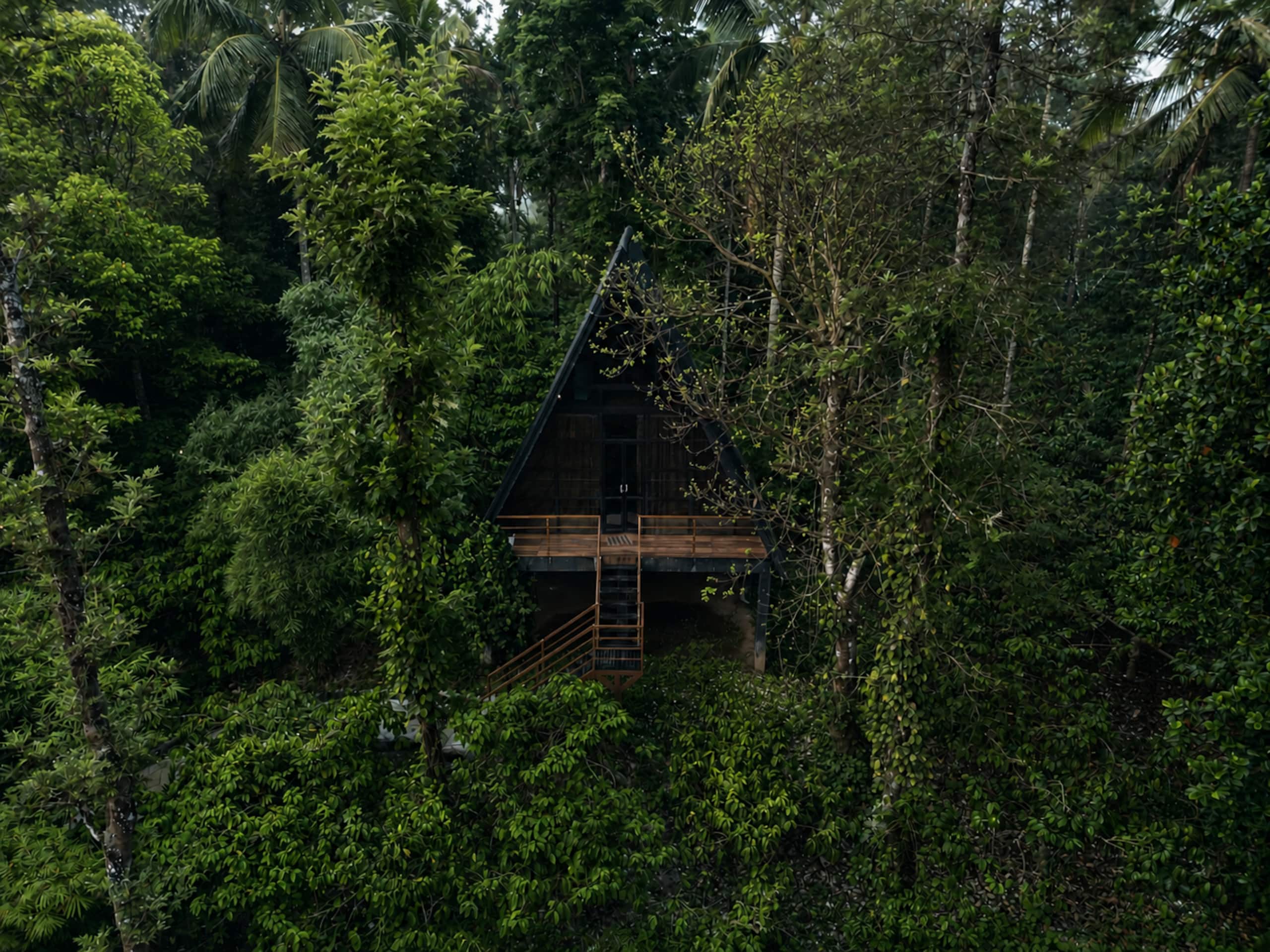 Mountain View Cottage in Coffee Estate, Wayanad 1