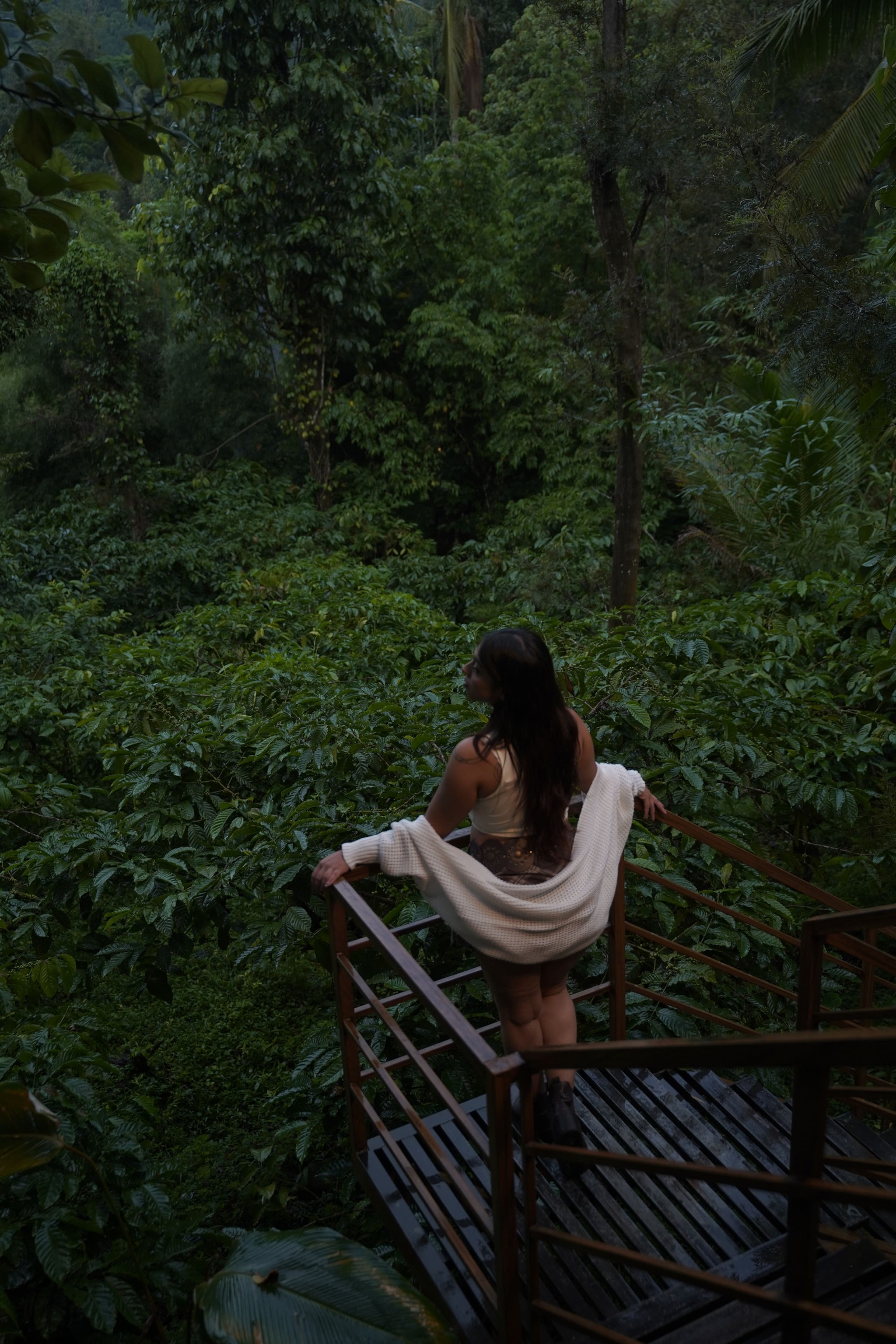 Mountain View Cottage in Coffee Estate, Wayanad 14