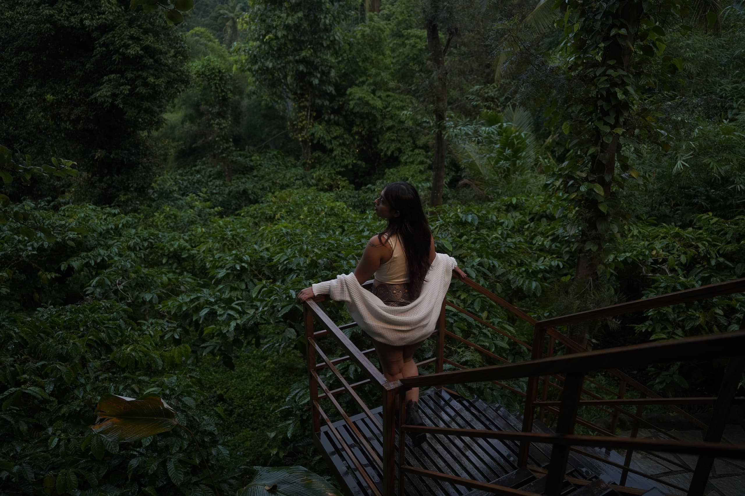 Mountain View Cottage in Coffee Estate, Wayanad 2