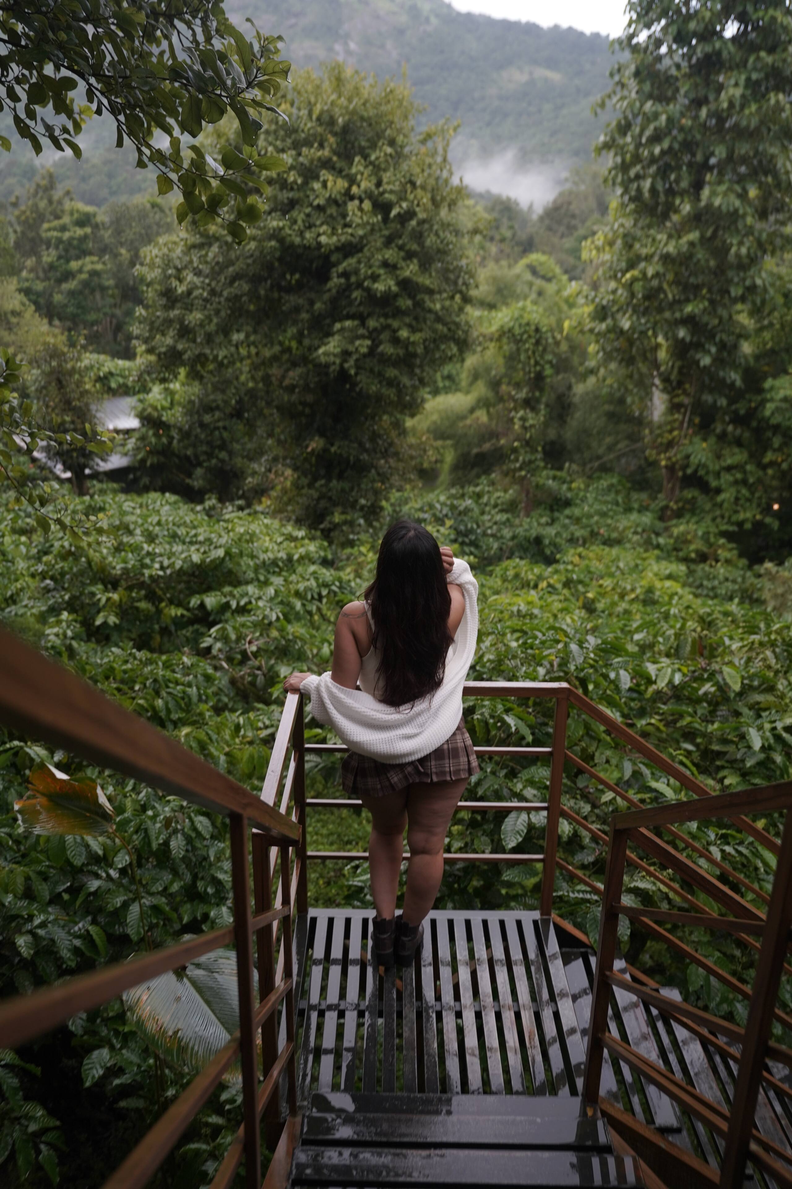 Mountain View Cottage in Coffee Estate, Wayanad 19