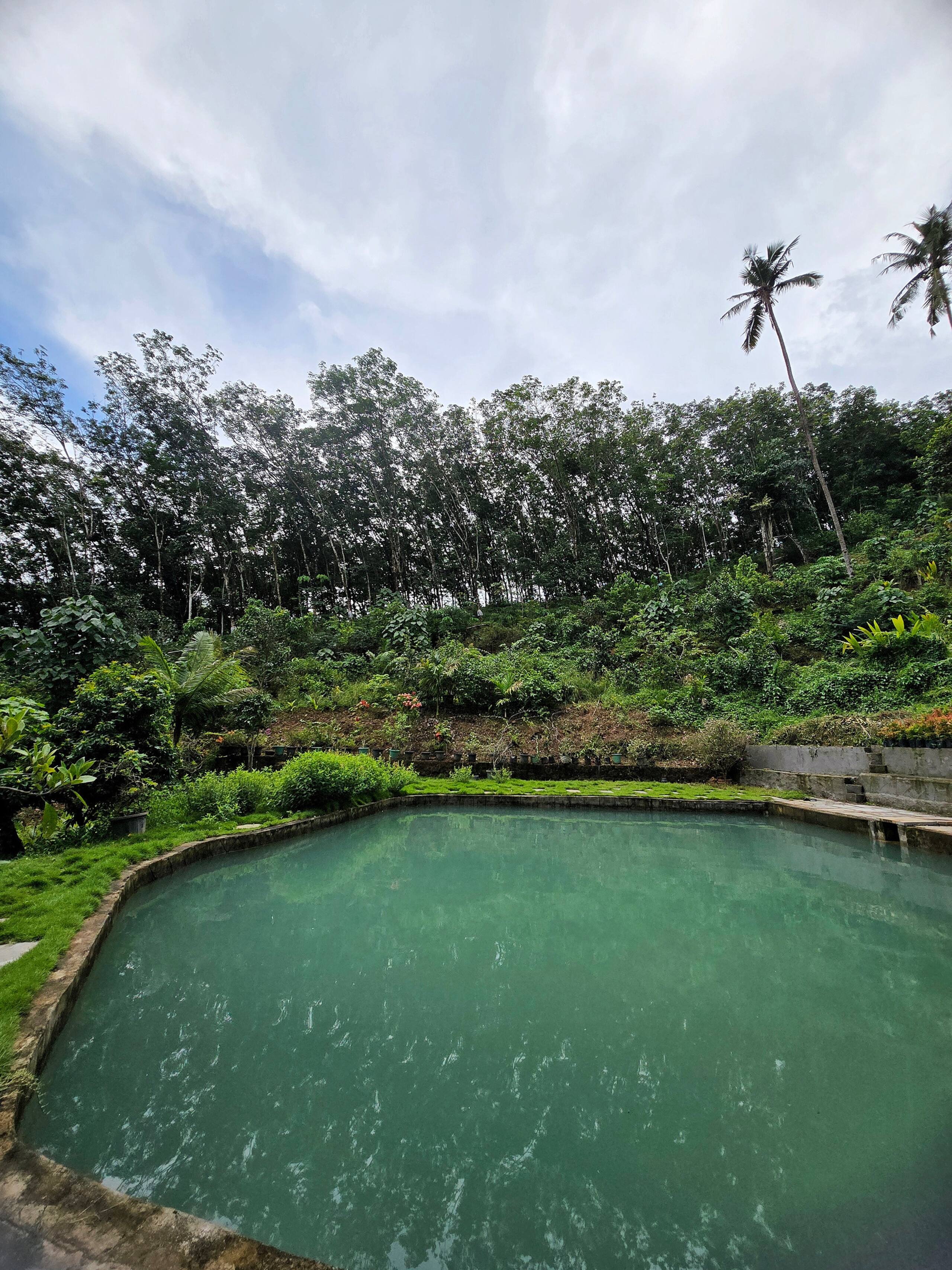 Exclusive Private Family Farm Stay. Puthusseriyil 15