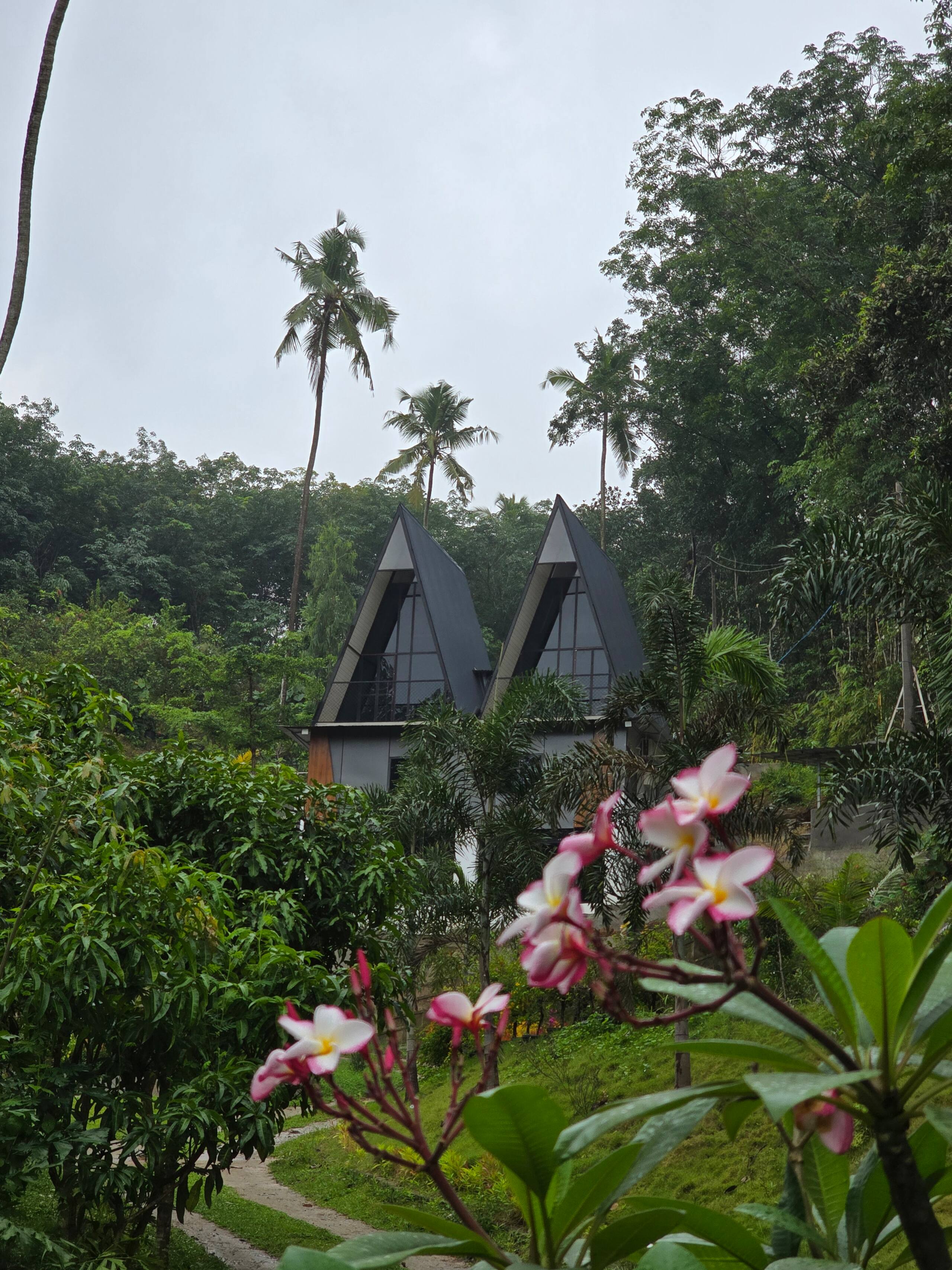 Exclusive Private Family Farm Stay. Puthusseriyil 11
