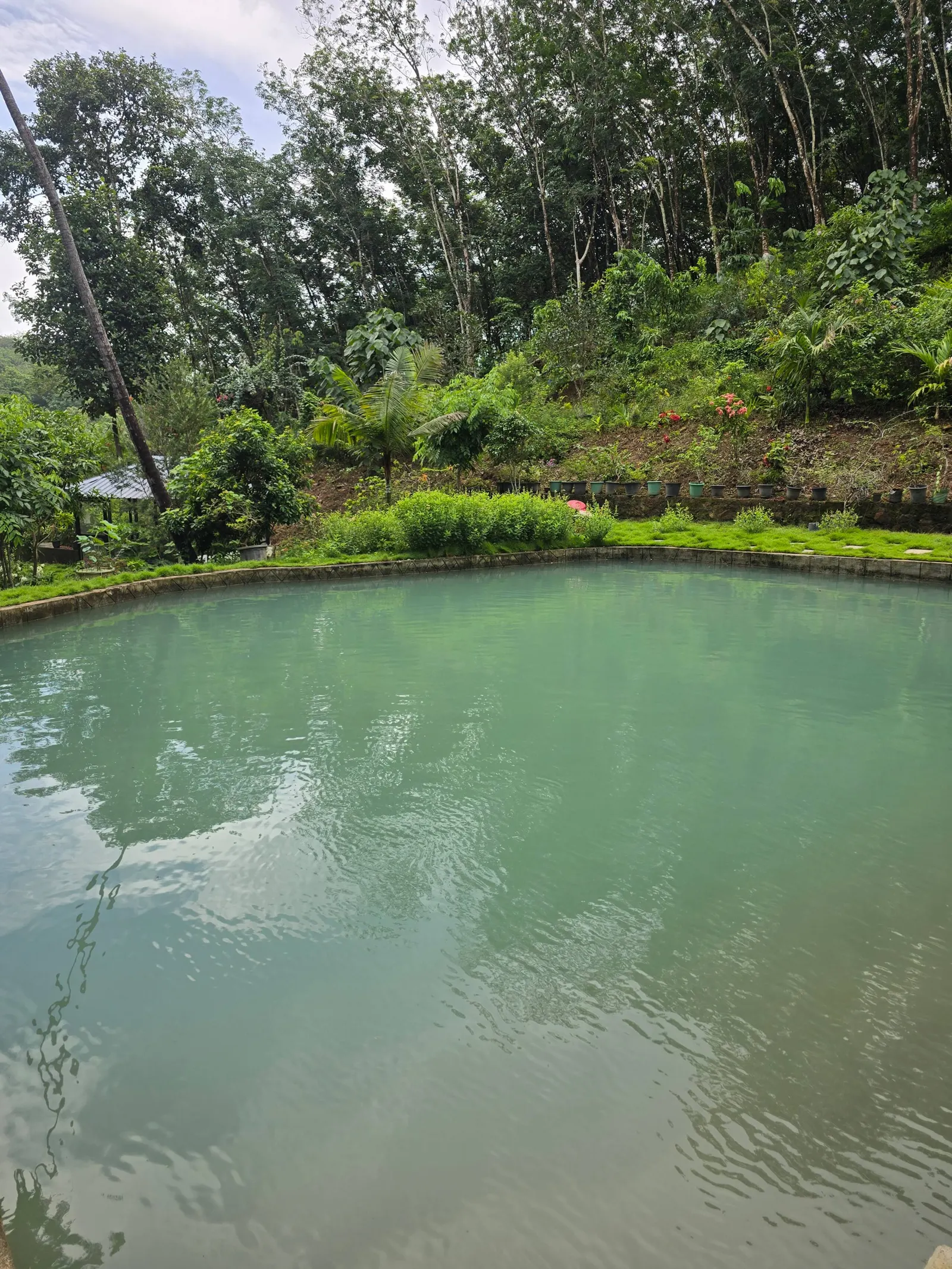 Exclusive Private Family Farm Stay. Puthusseriyil 14