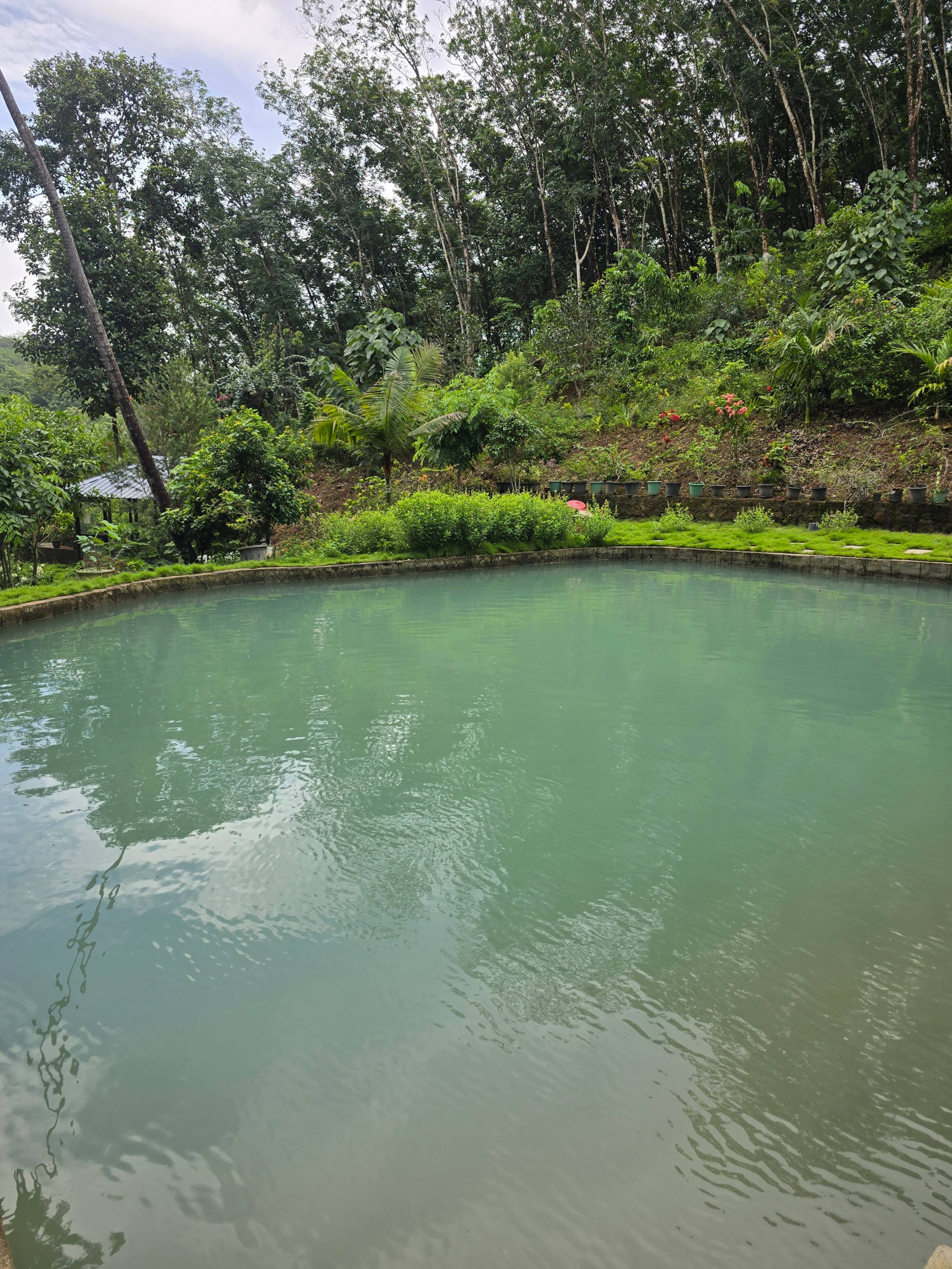 Exclusive Private Family Farm Stay. Puthusseriyil 14
