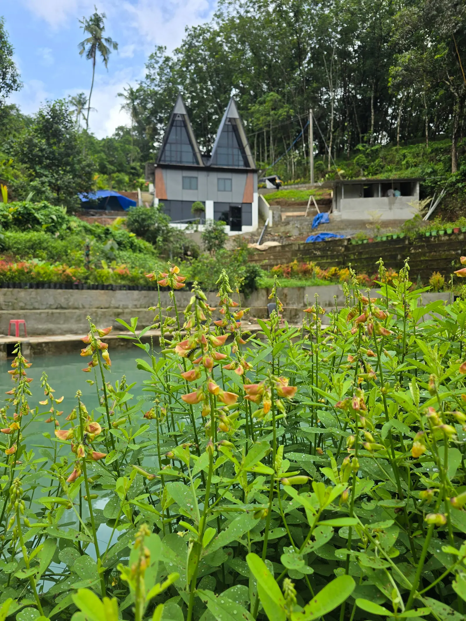 Exclusive Private Family Farm Stay. Puthusseriyil 17