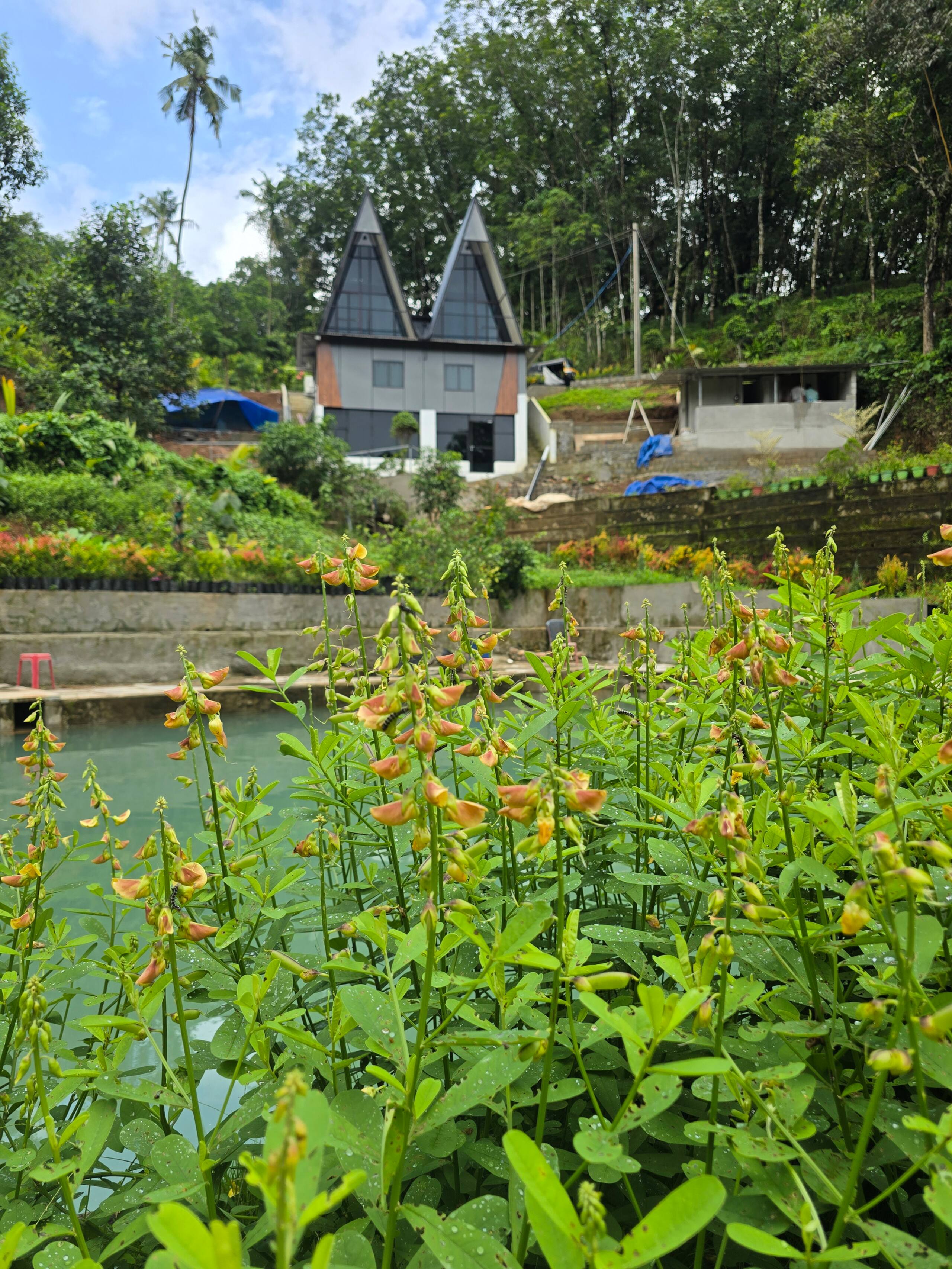 Exclusive Private Family Farm Stay. Puthusseriyil 17