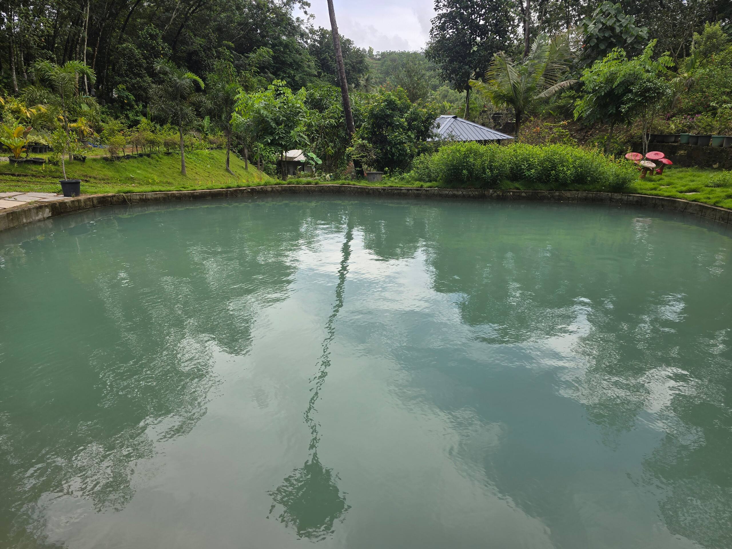 Exclusive Private Family Farm Stay. Puthusseriyil 16