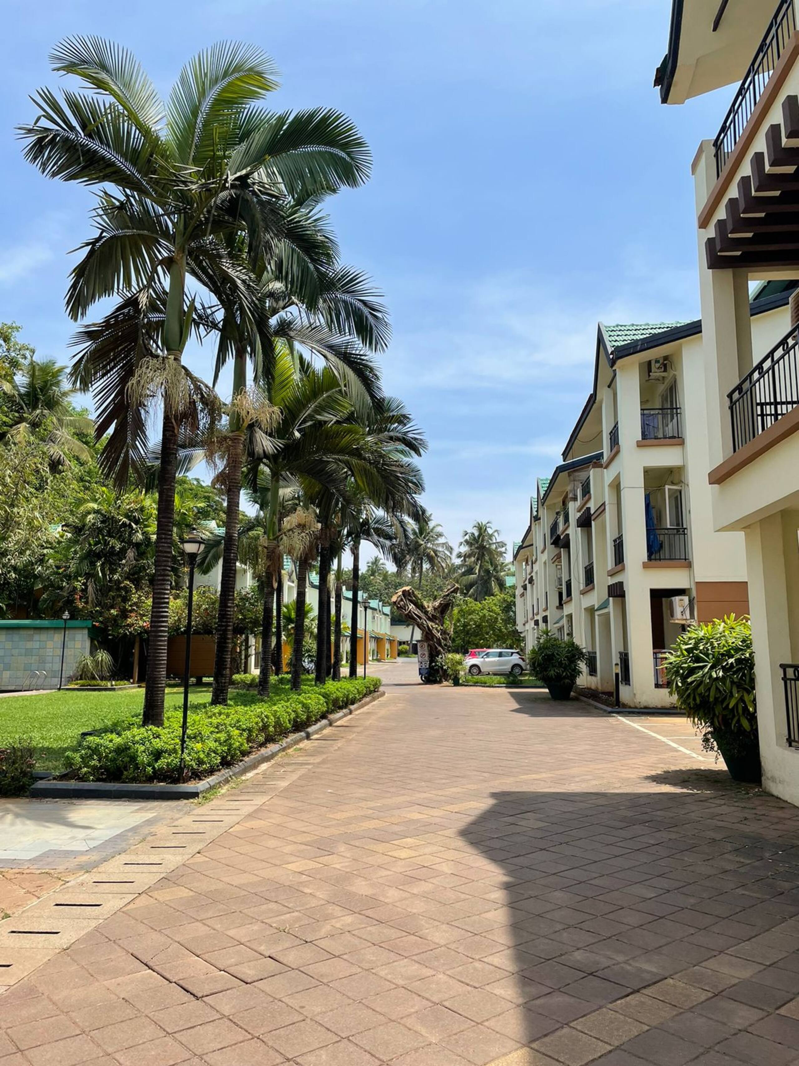 Seagull, spacious 1 BHK, near Benaulim beach 37
