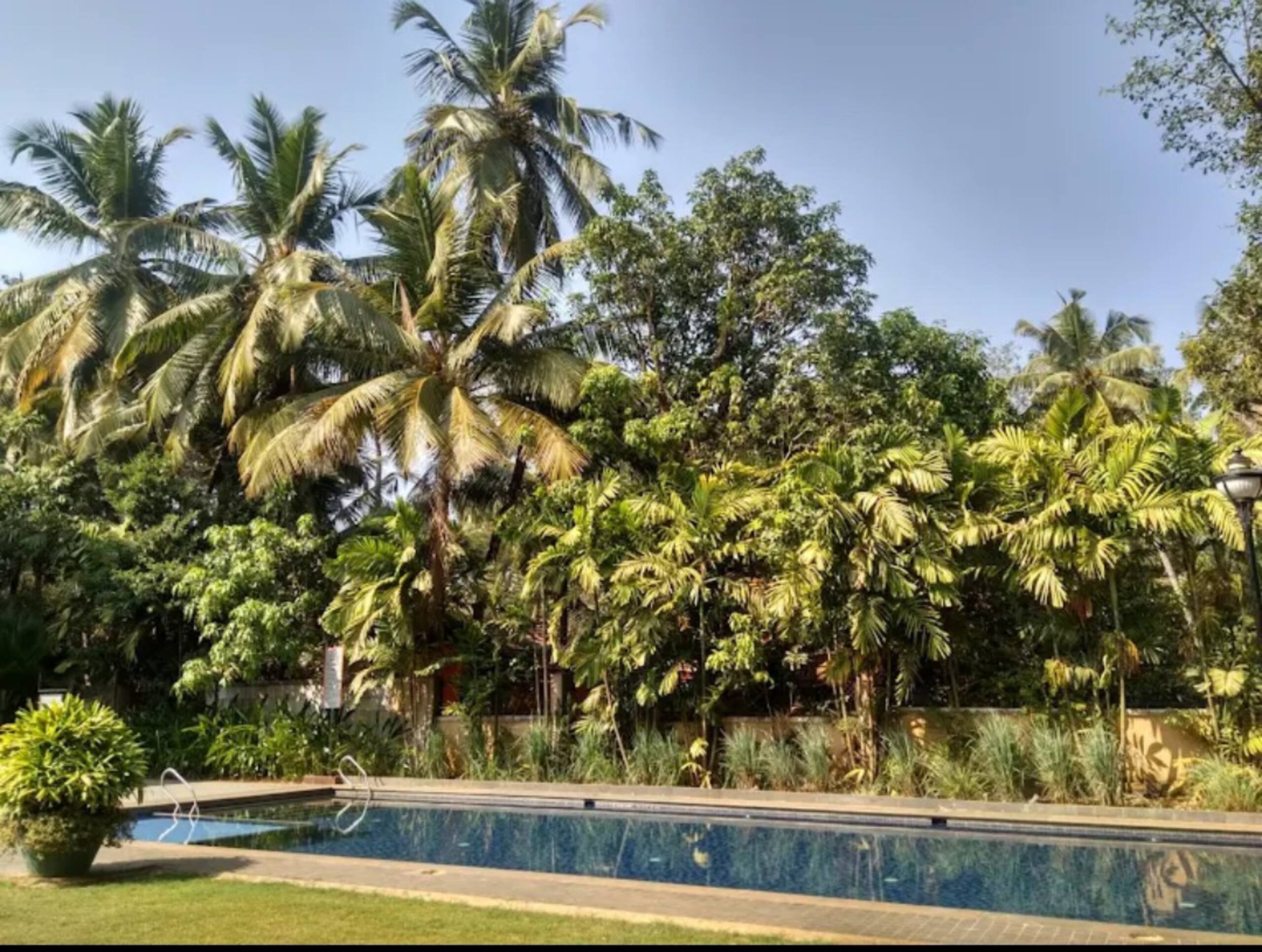 Seagull, spacious 1 BHK, near Benaulim beach 34