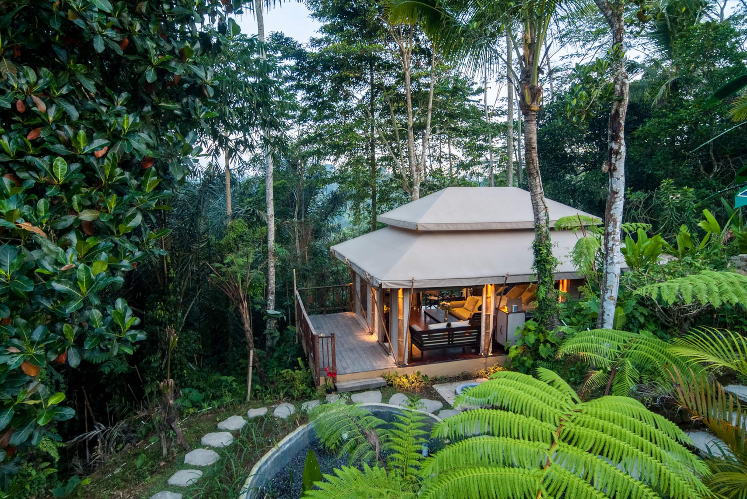 Luxury Safari Tent Beside Tropical Jungle 13