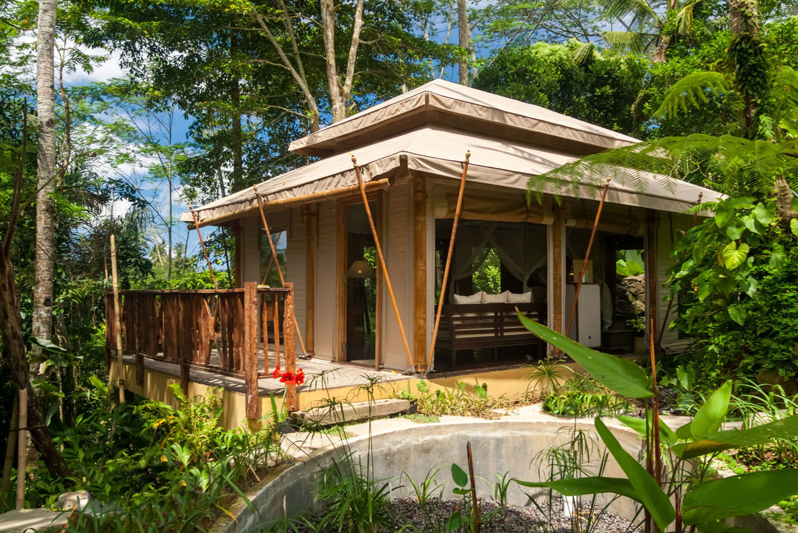 Luxury Safari Tent Beside Tropical Jungle 11