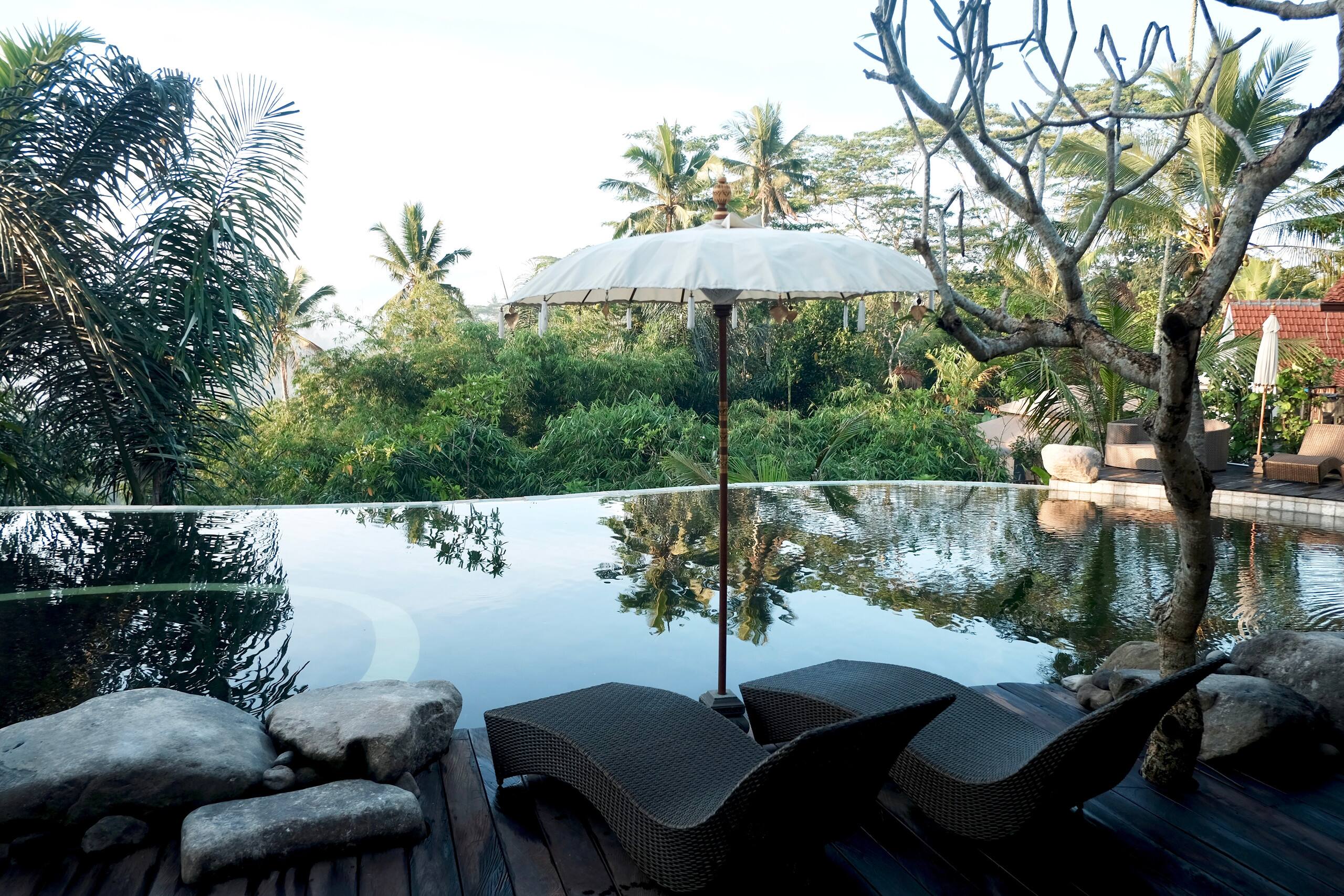 Luxury Safari Tent Beside Tropical Jungle 16