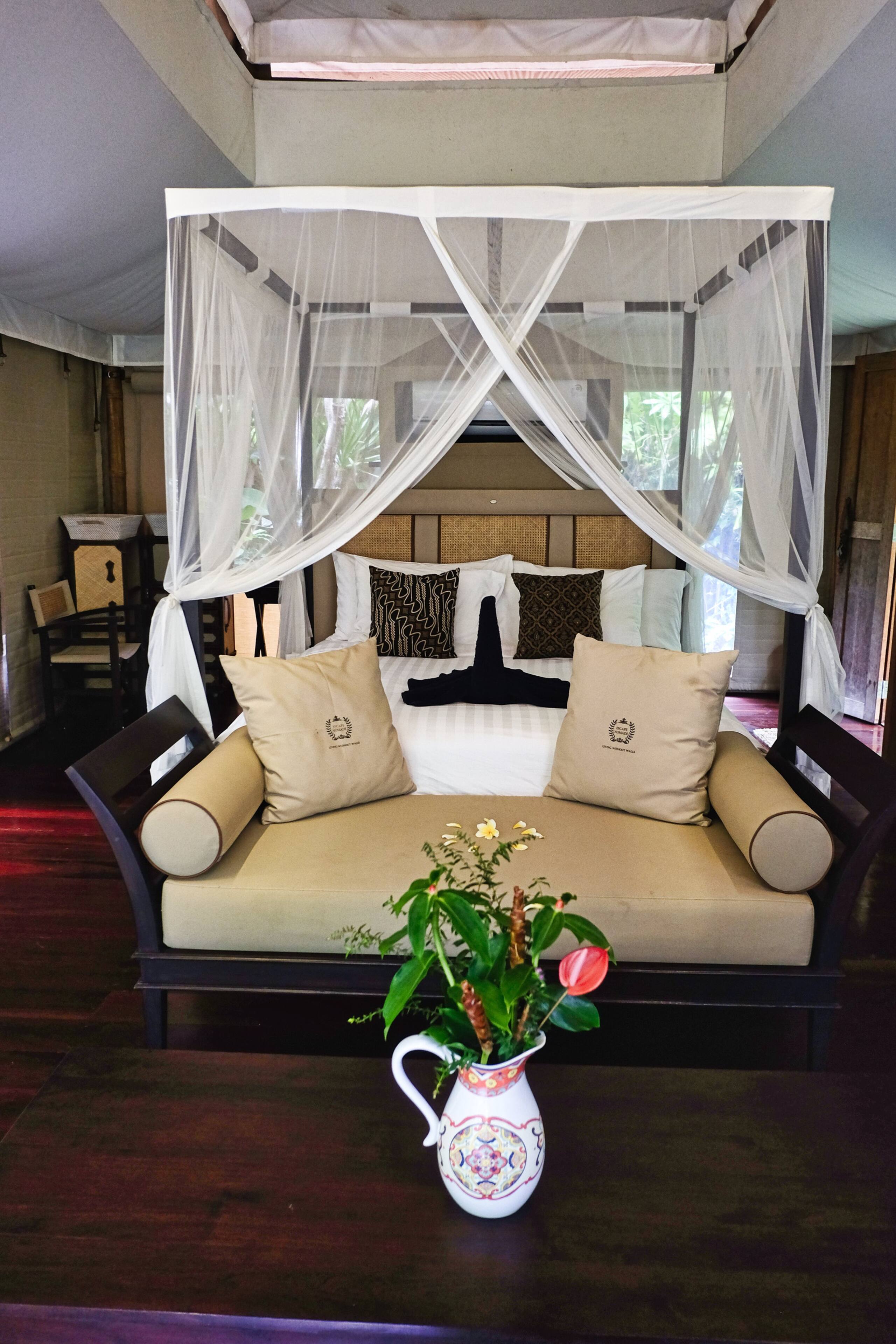 Luxury Safari Tent Beside Tropical Jungle — photo 3
