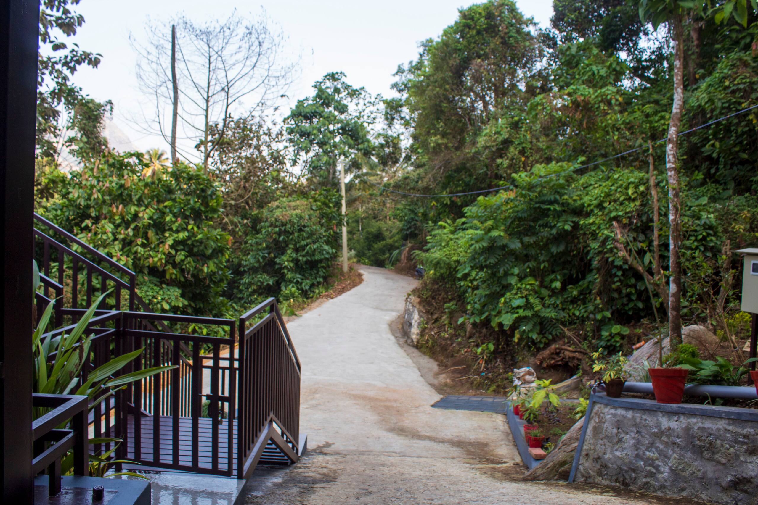 Golden Oriole Homestay Adimaly - Munnar 7