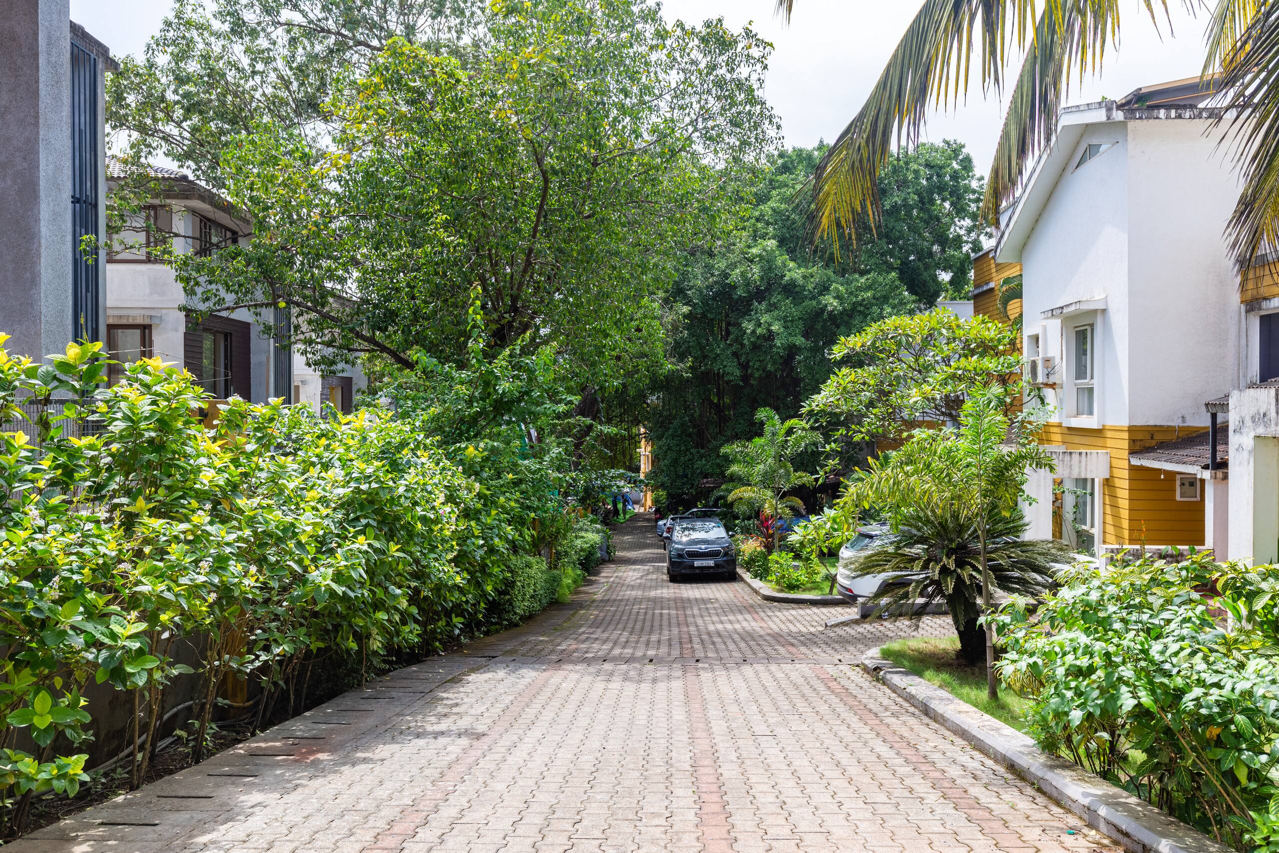 Glee by AlohaGoa: 2BHK Swimming Pool View Apt. 24