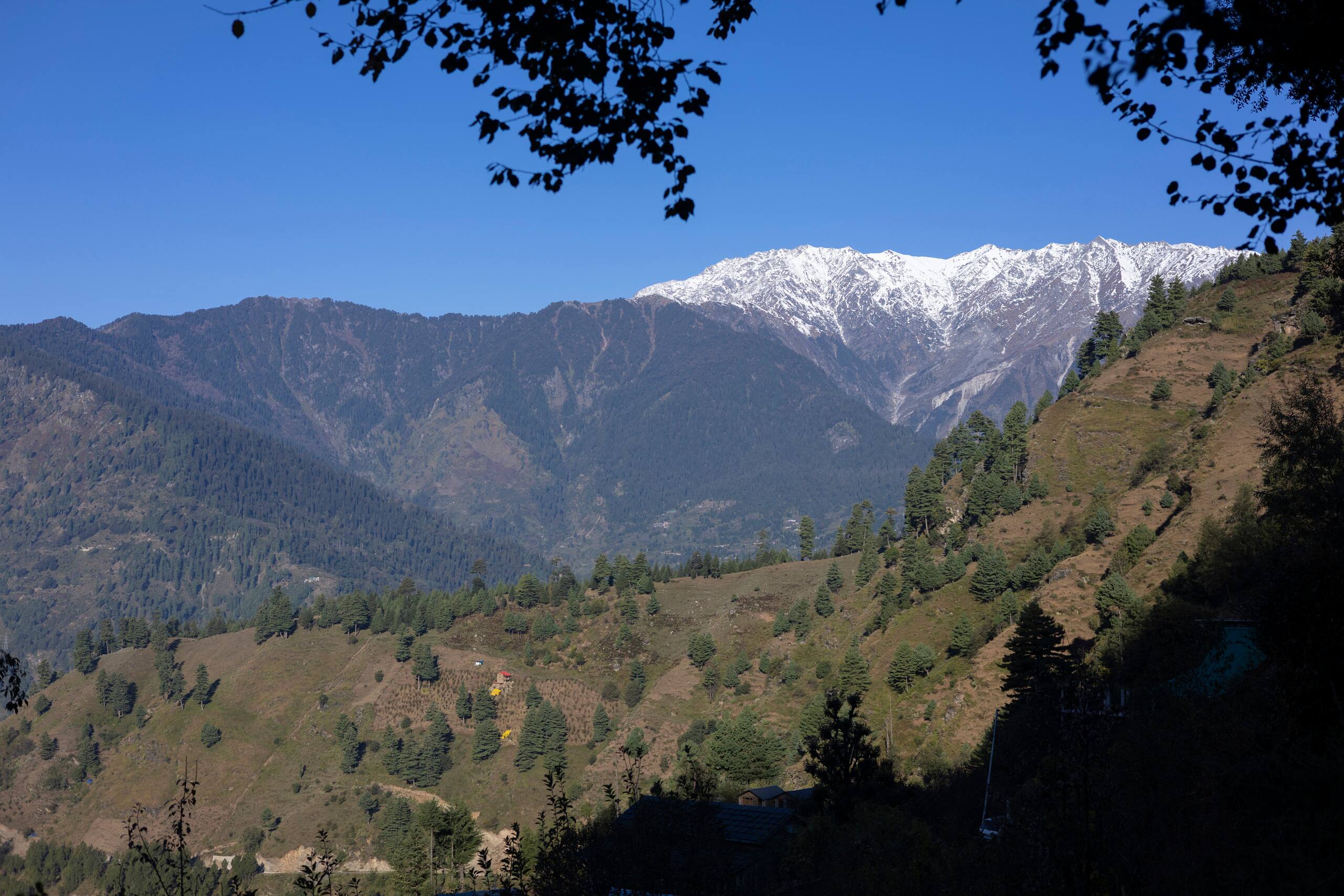 Secret Mountain Escape | Himachal 27