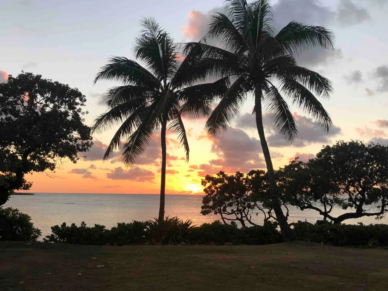 Hidden Gem! Turtle Bay Hideaway-85 15