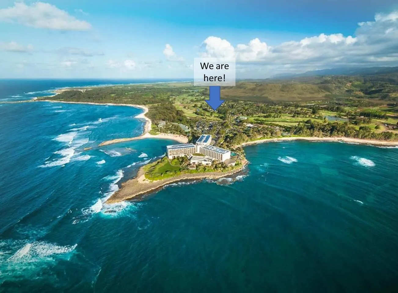 Hidden Gem! Turtle Bay Hideaway-85 16