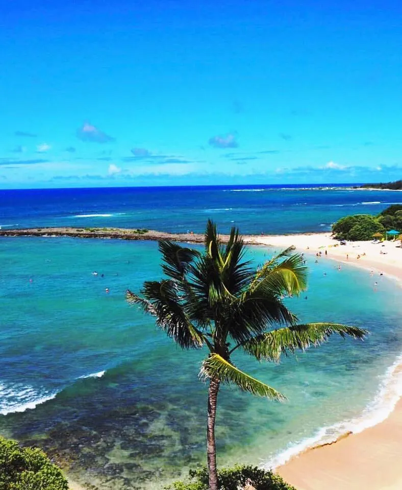 Hidden Gem! Turtle Bay Hideaway-85 17