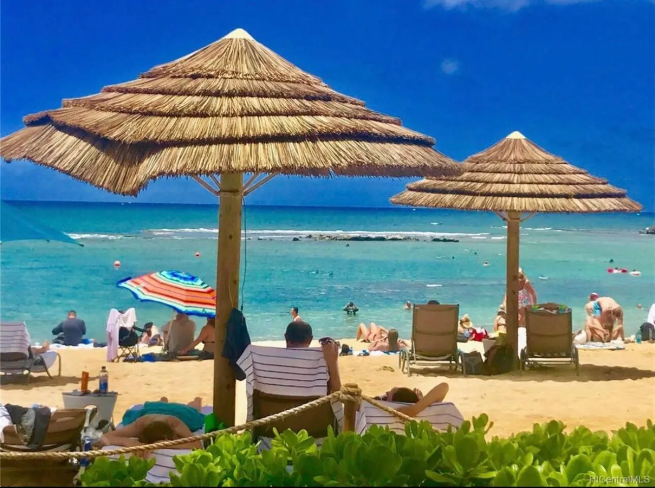 Hidden Gem! Turtle Bay Hideaway-85 18