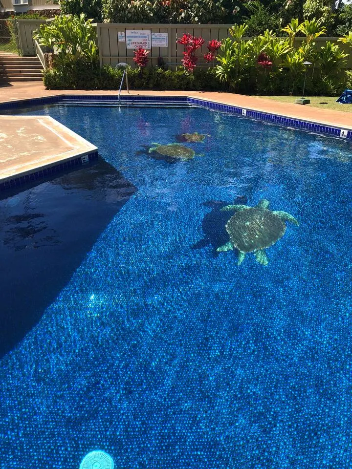 Hidden Gem! Turtle Bay Hideaway-85 20