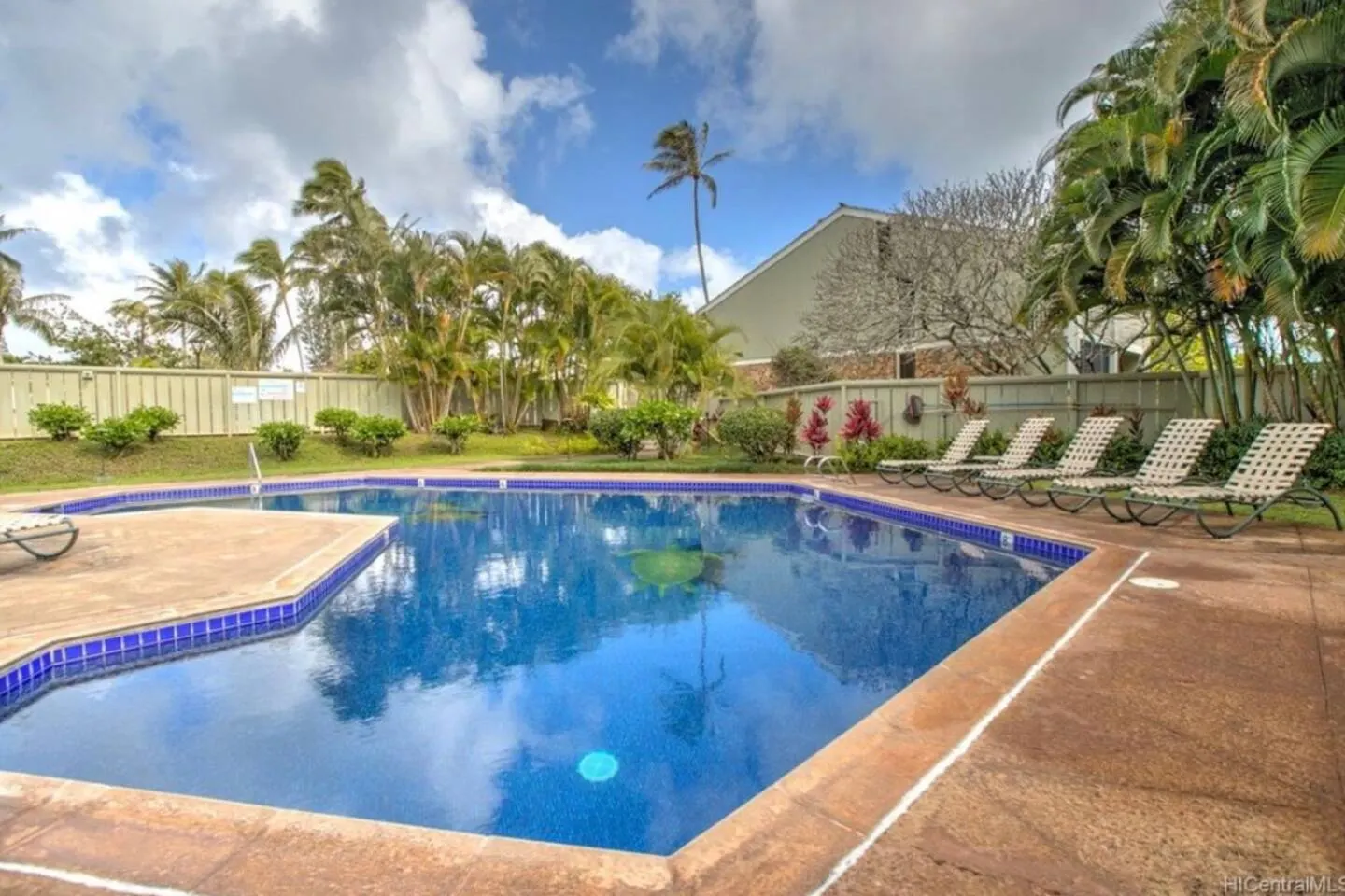 Hidden Gem! Turtle Bay Hideaway-85 3