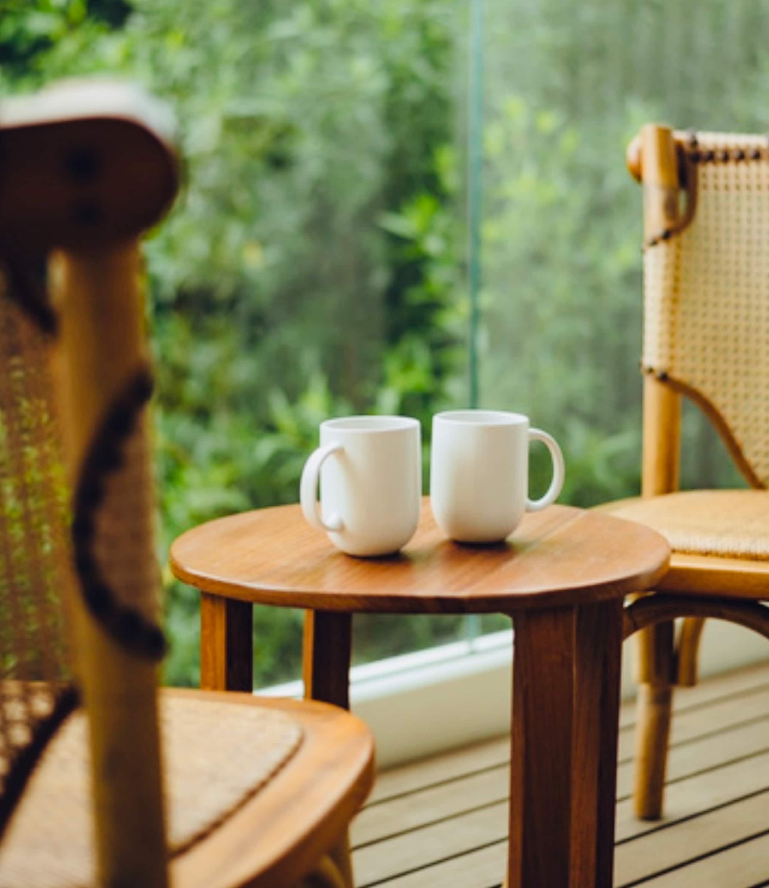 Banyan tree Villa- caretaker / pool / garden 23