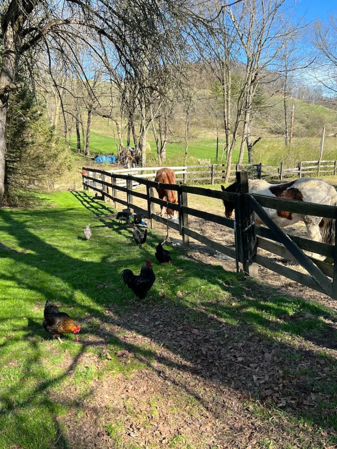 The Barn- Unique Country Setting 17