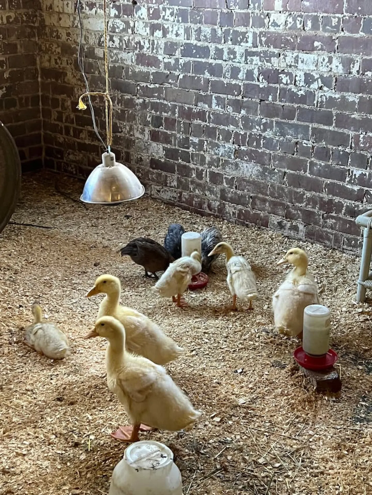 The Barn- Unique Country Setting 18