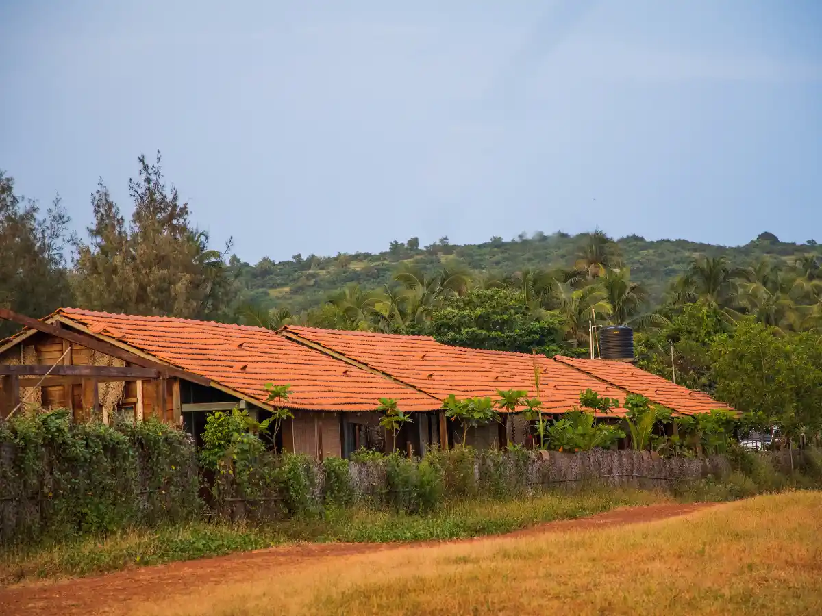 Artist Cottages, Morjim Beach, Goa 19
