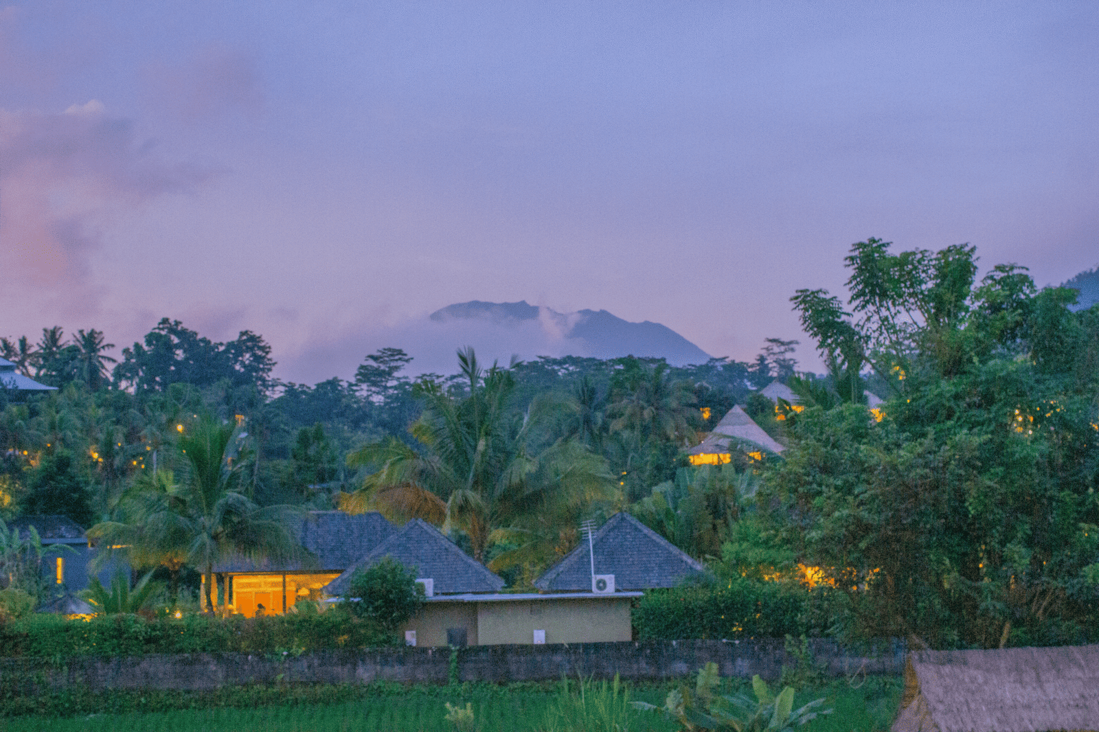 Villa Lumbung Sidemen — photo 1