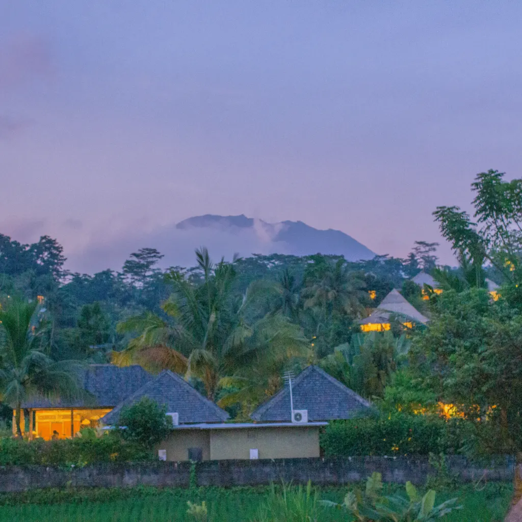 Villa Lumbung Sidemen 2
