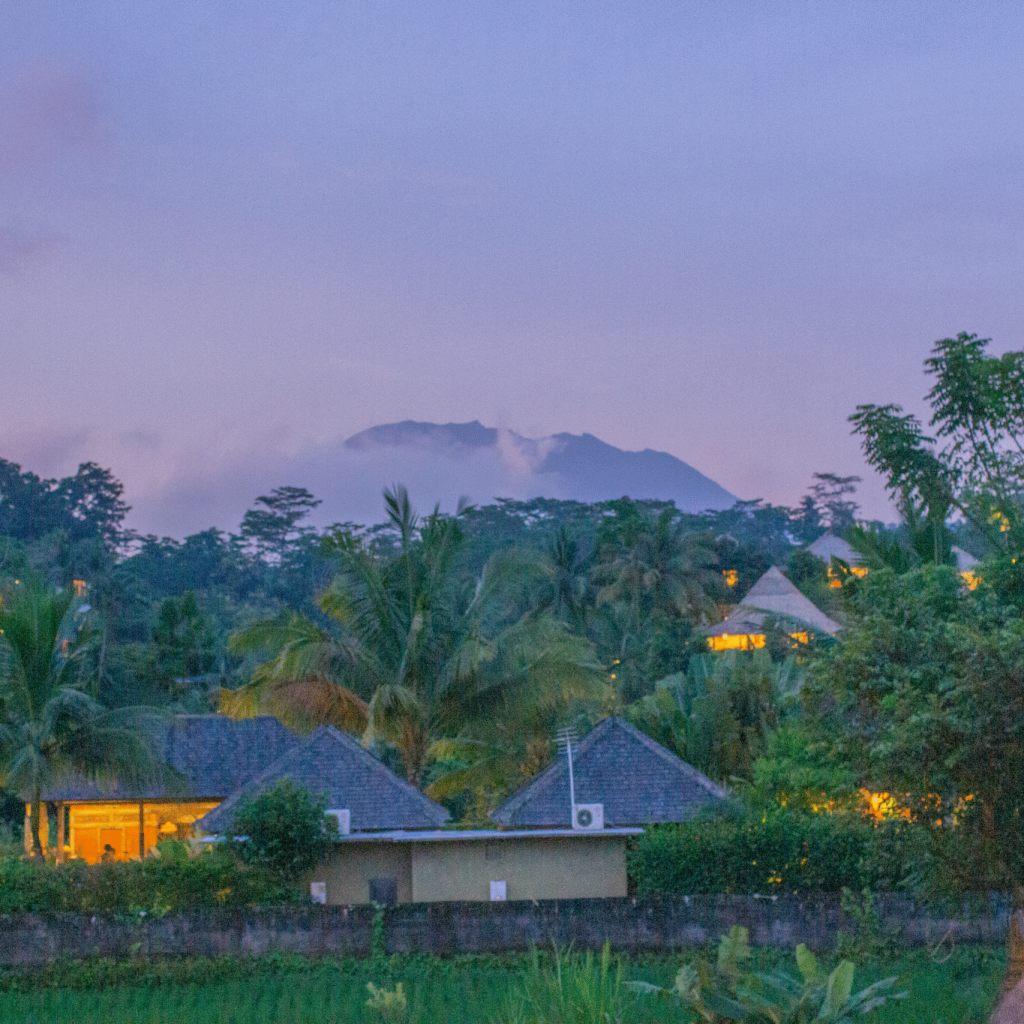 Villa Lumbung Sidemen — photo 2