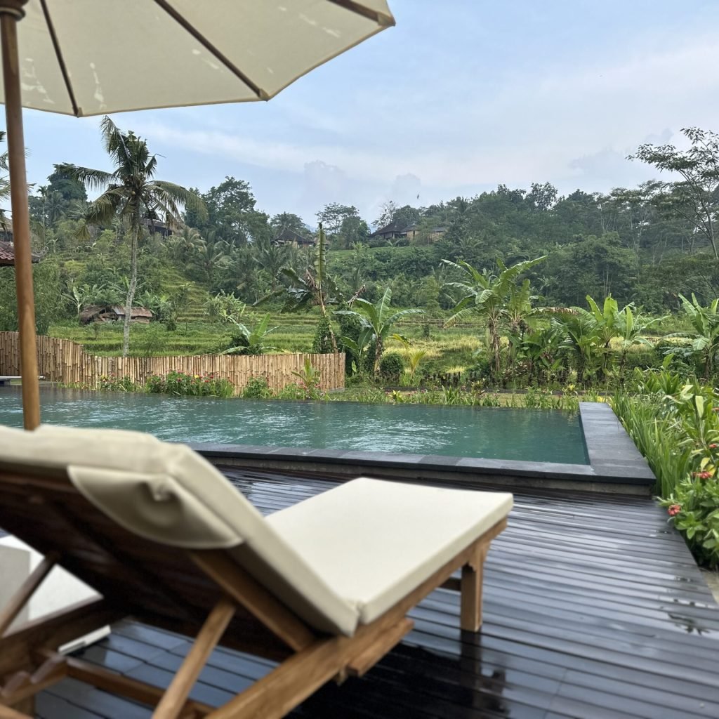 Villa Lumbung Sidemen — photo 3