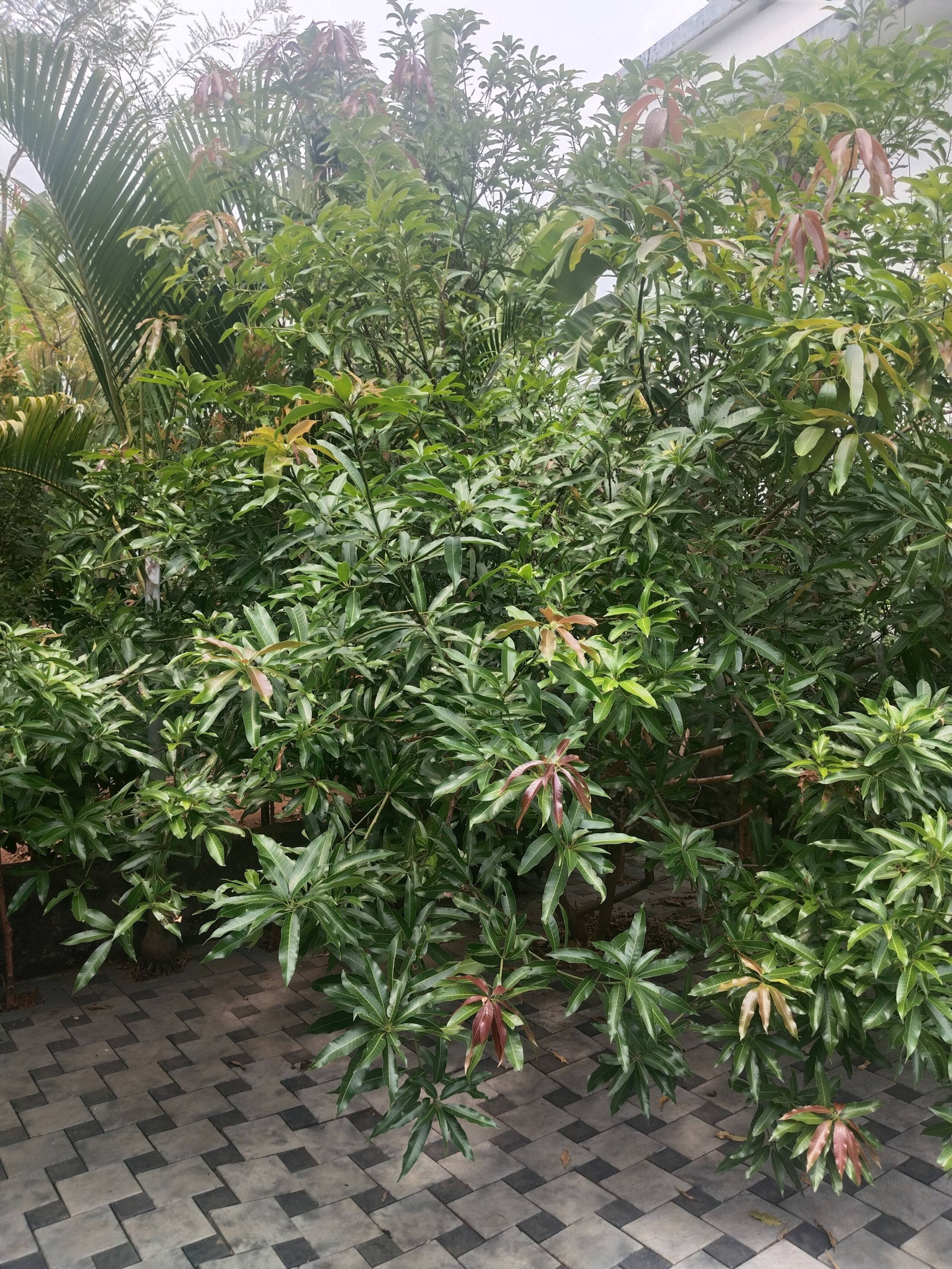 Secluded 3bhk house at Chalakudy w gated parking 24