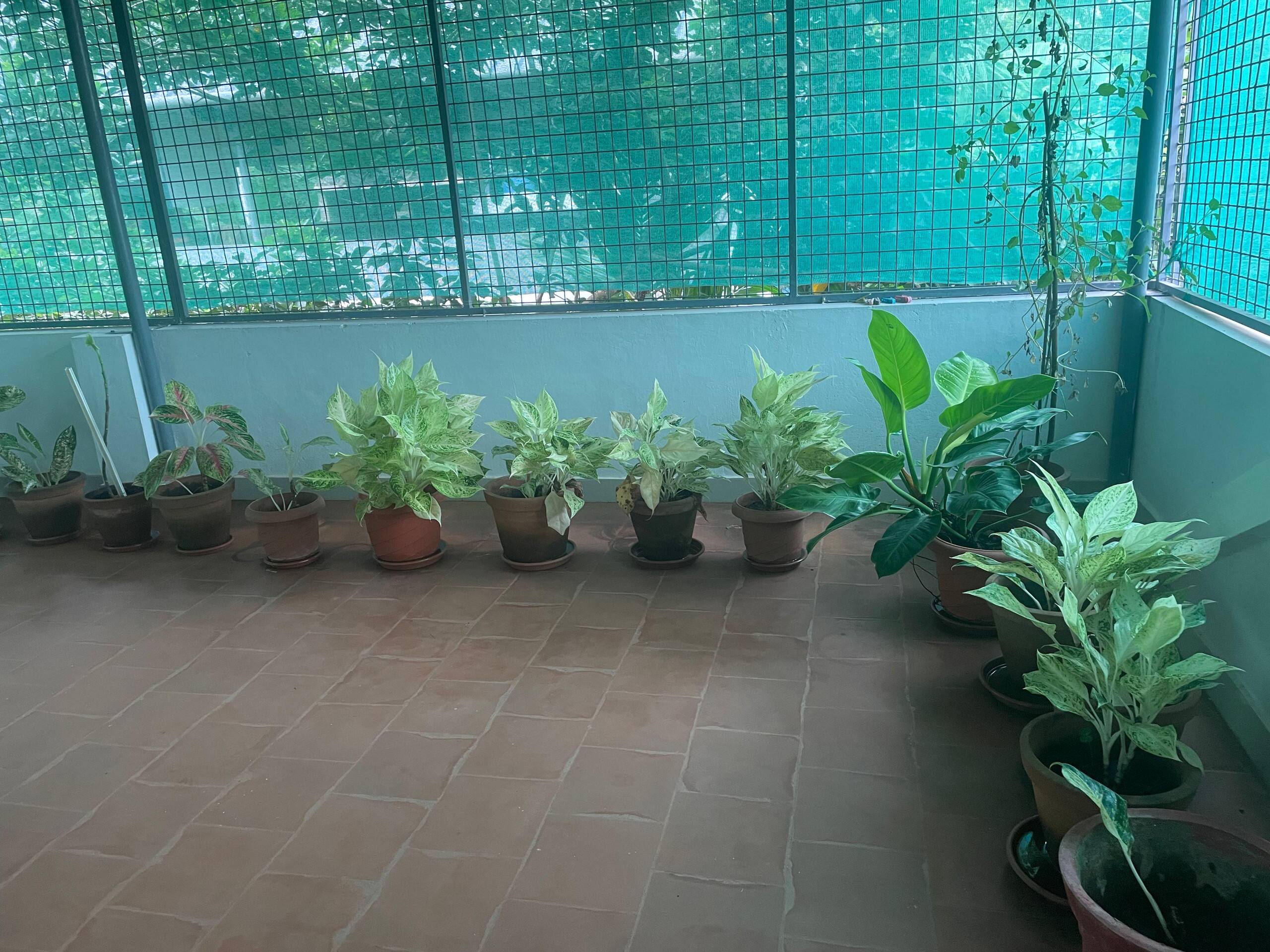 Secluded 3bhk house at Chalakudy w gated parking 31