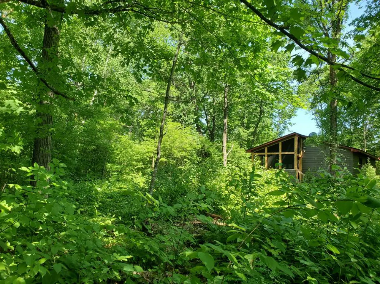 Meadows - Pine City/River/kayaks/dogs/firepit/screen porch 10