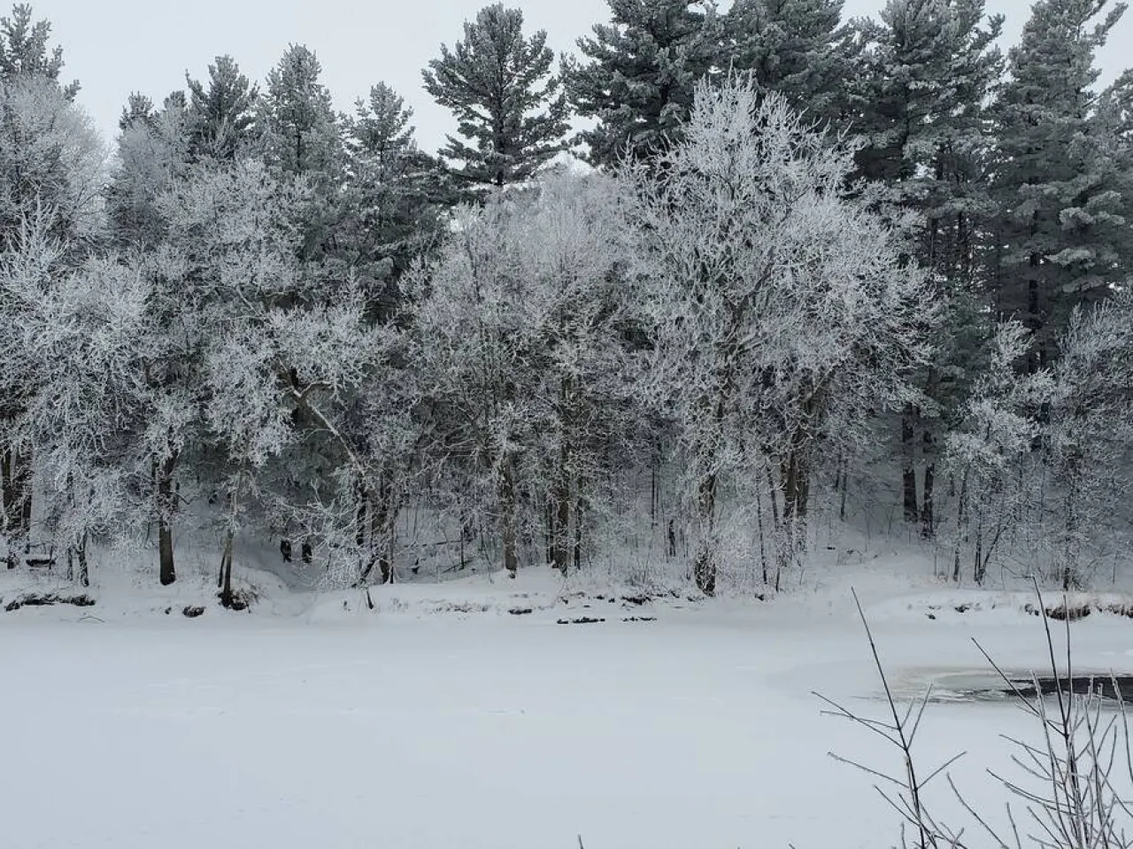 Meadows - Pine City/River/kayaks/dogs/firepit/screen porch 17