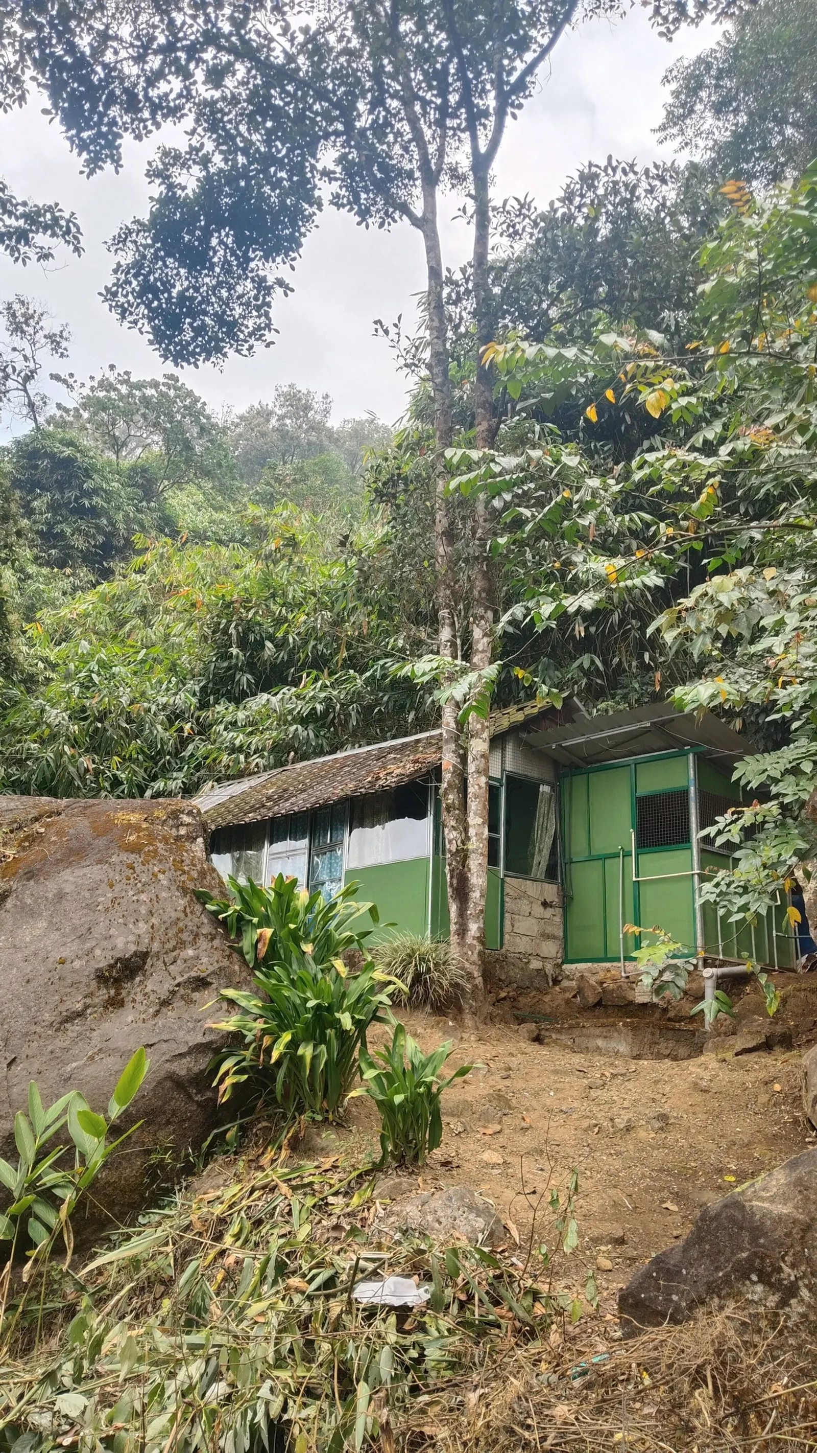 Hornbill Paradise Munnar - Hostel Jungle Stay 2