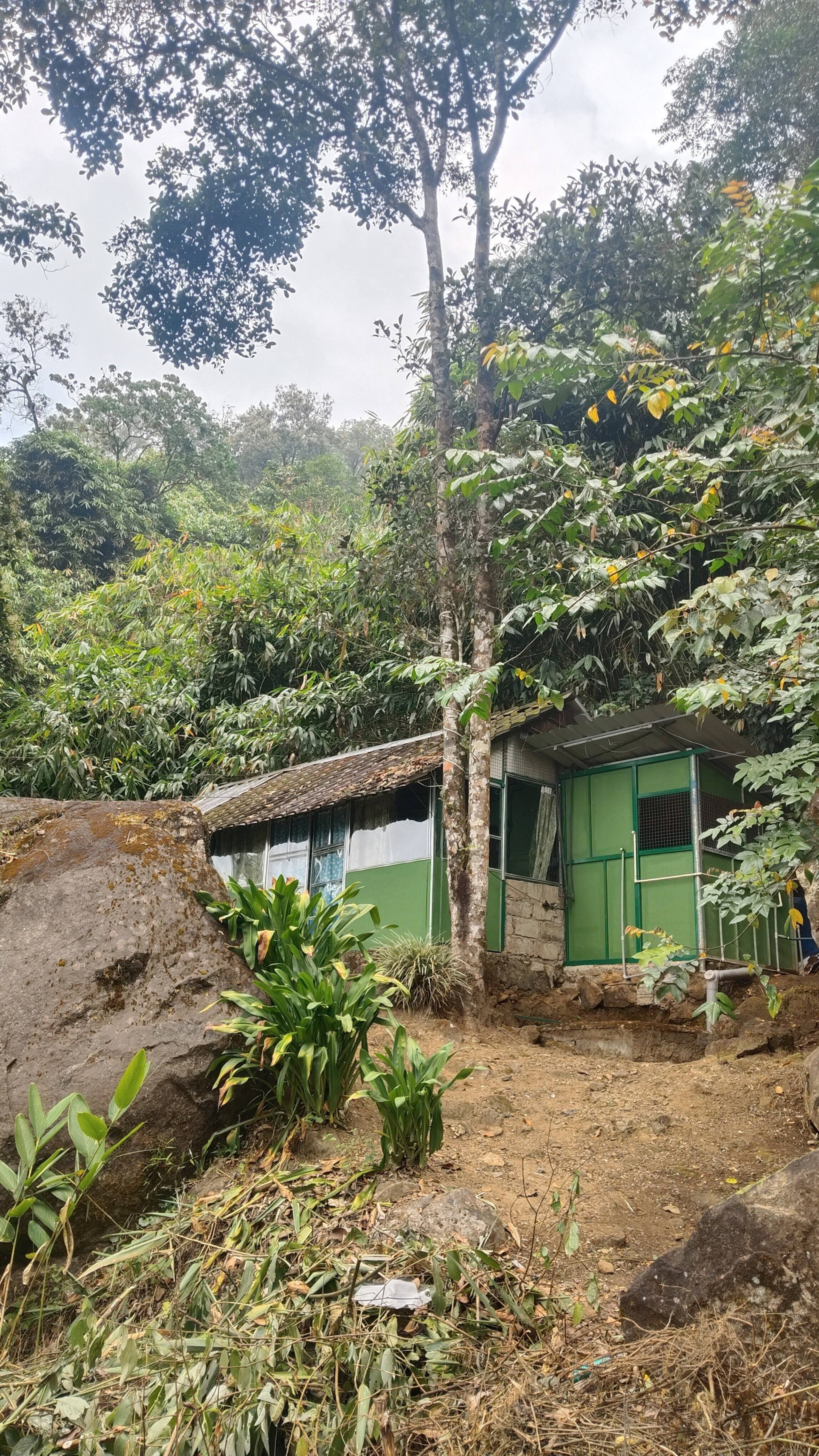 Hornbill Paradise Munnar - Hostel Jungle Stay. 2