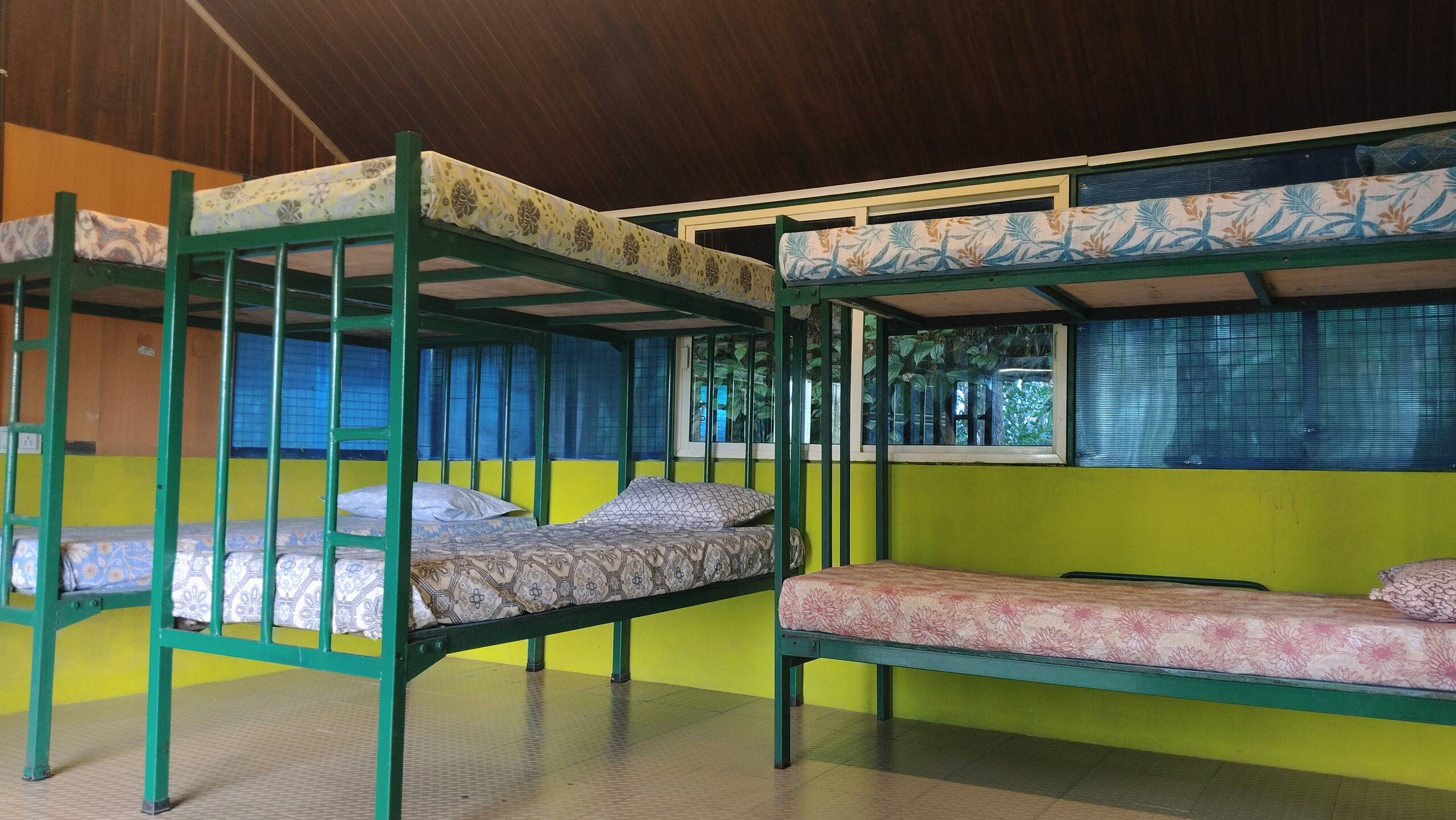 Hornbill Paradise Munnar - Hostel Jungle Stay. 3