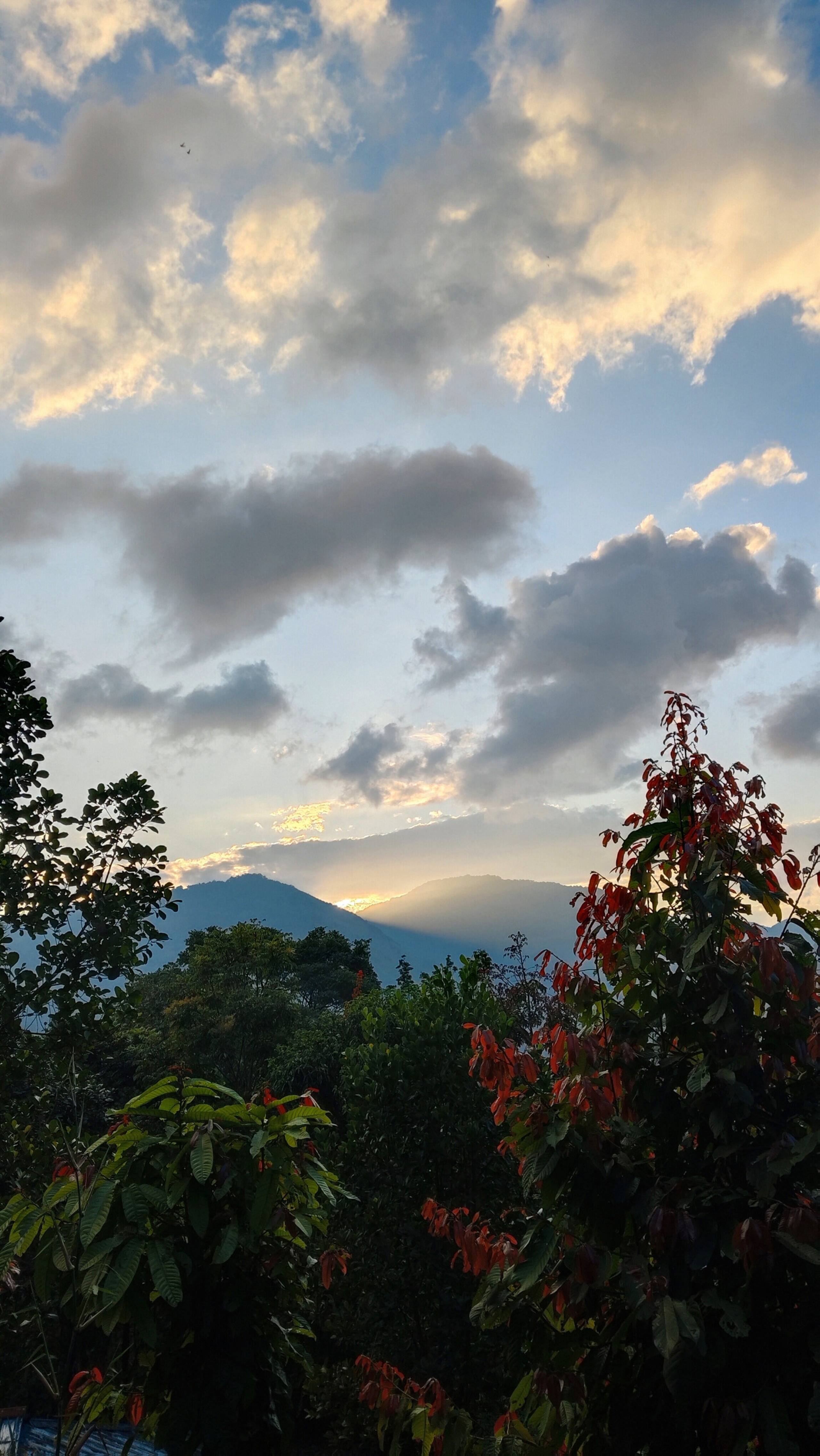 Hornbill Paradise Munnar - Hostel Jungle Stay. 8